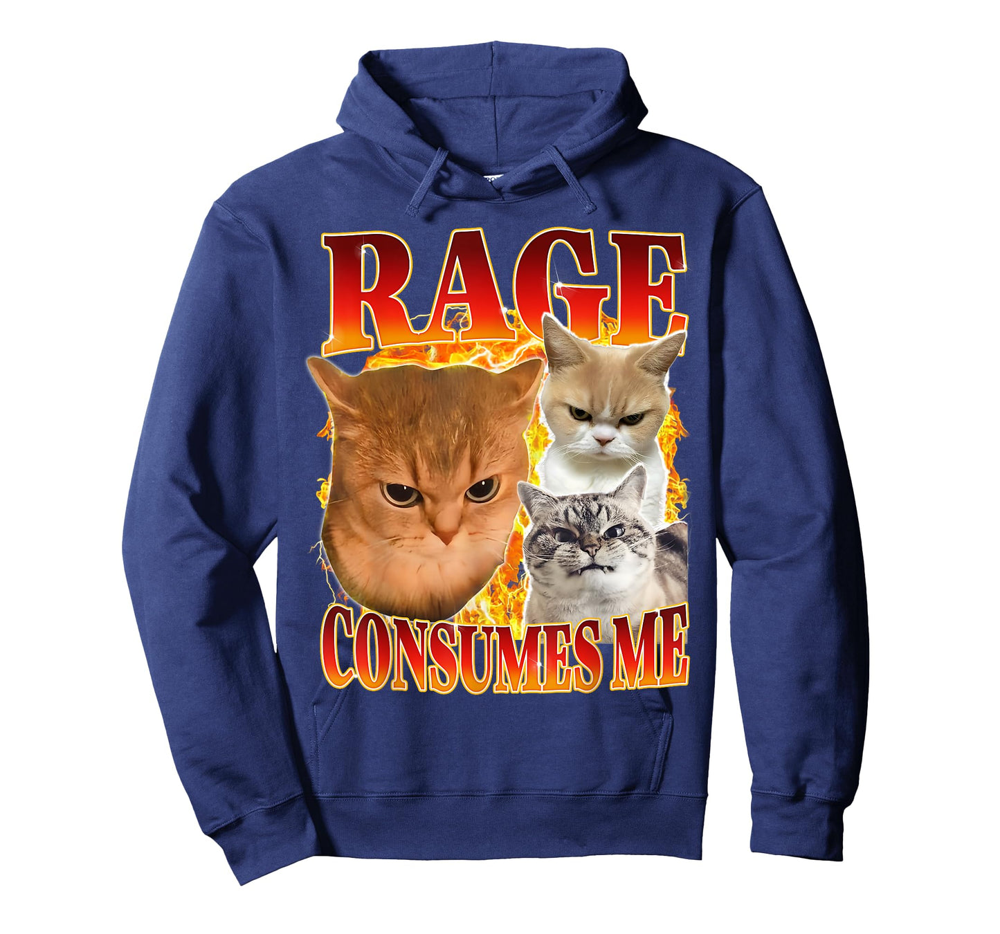 Rage Consumes Me Silly Cat Funny Meme Humor Saying T-Shirt