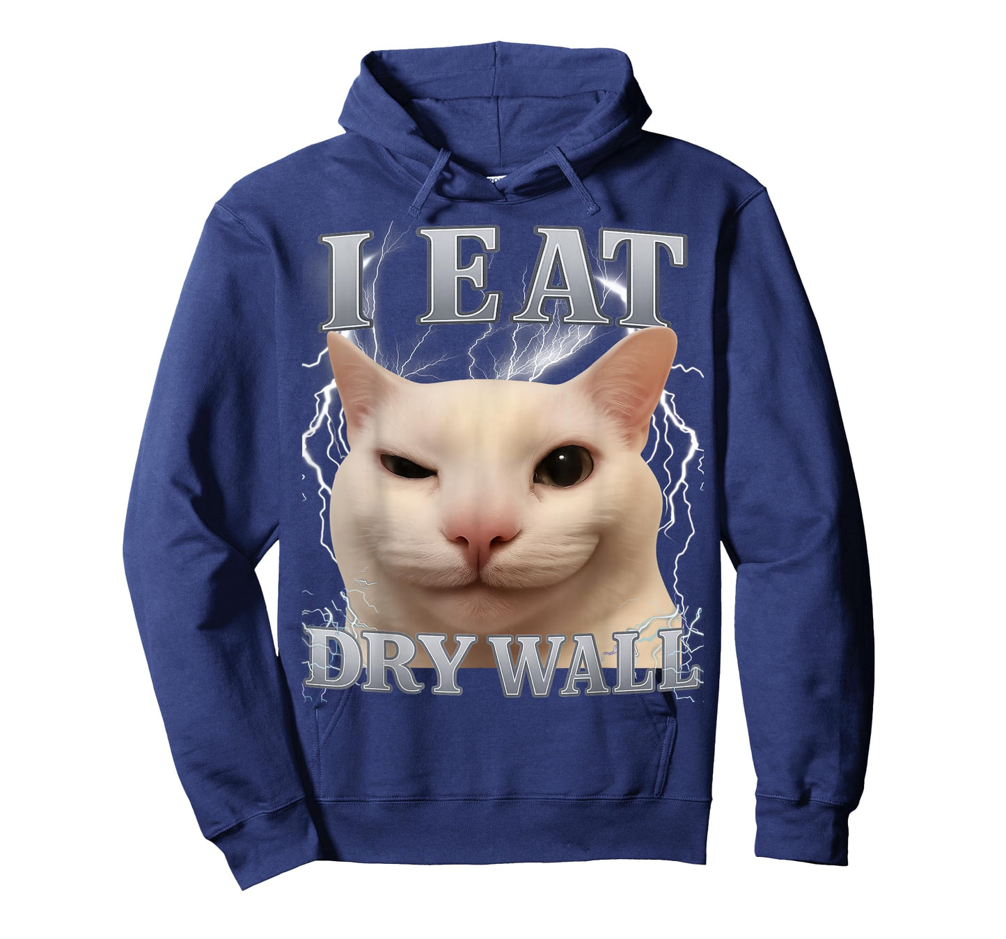I Eat Dry Wall Silly Cat Meme Funny Men Women Kids Graphic T-Shirt