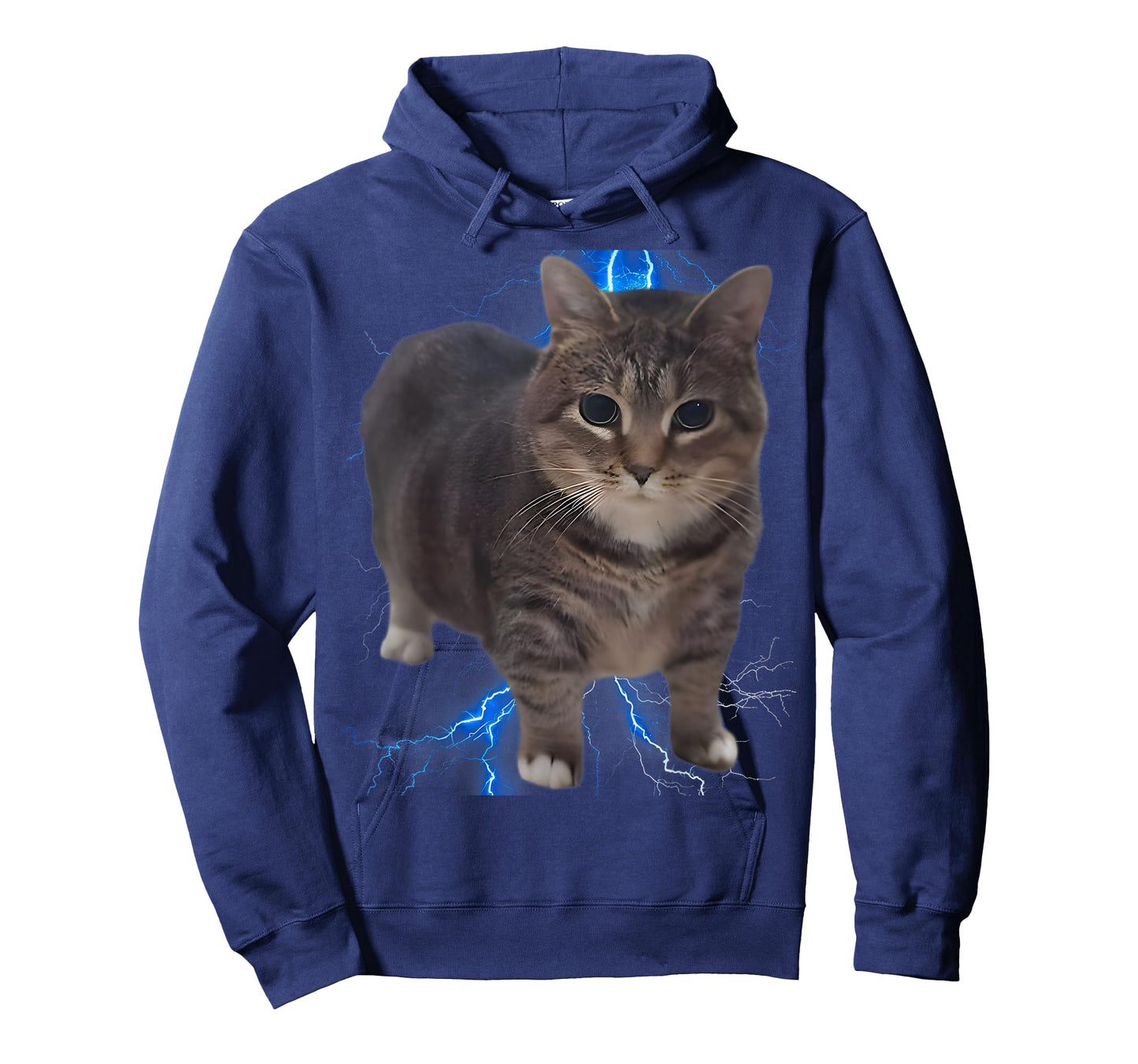 Funny Oiia Oiia Spinning Cat Meme, Funny Cat, Cat Brainrot T-Shirt