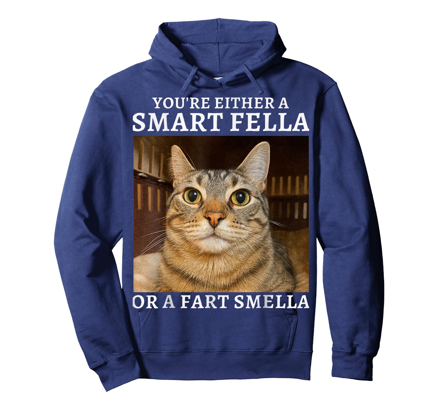 You're Either a Smart Fella or a Fart Smella Funny Cat Humor T-Shirt
