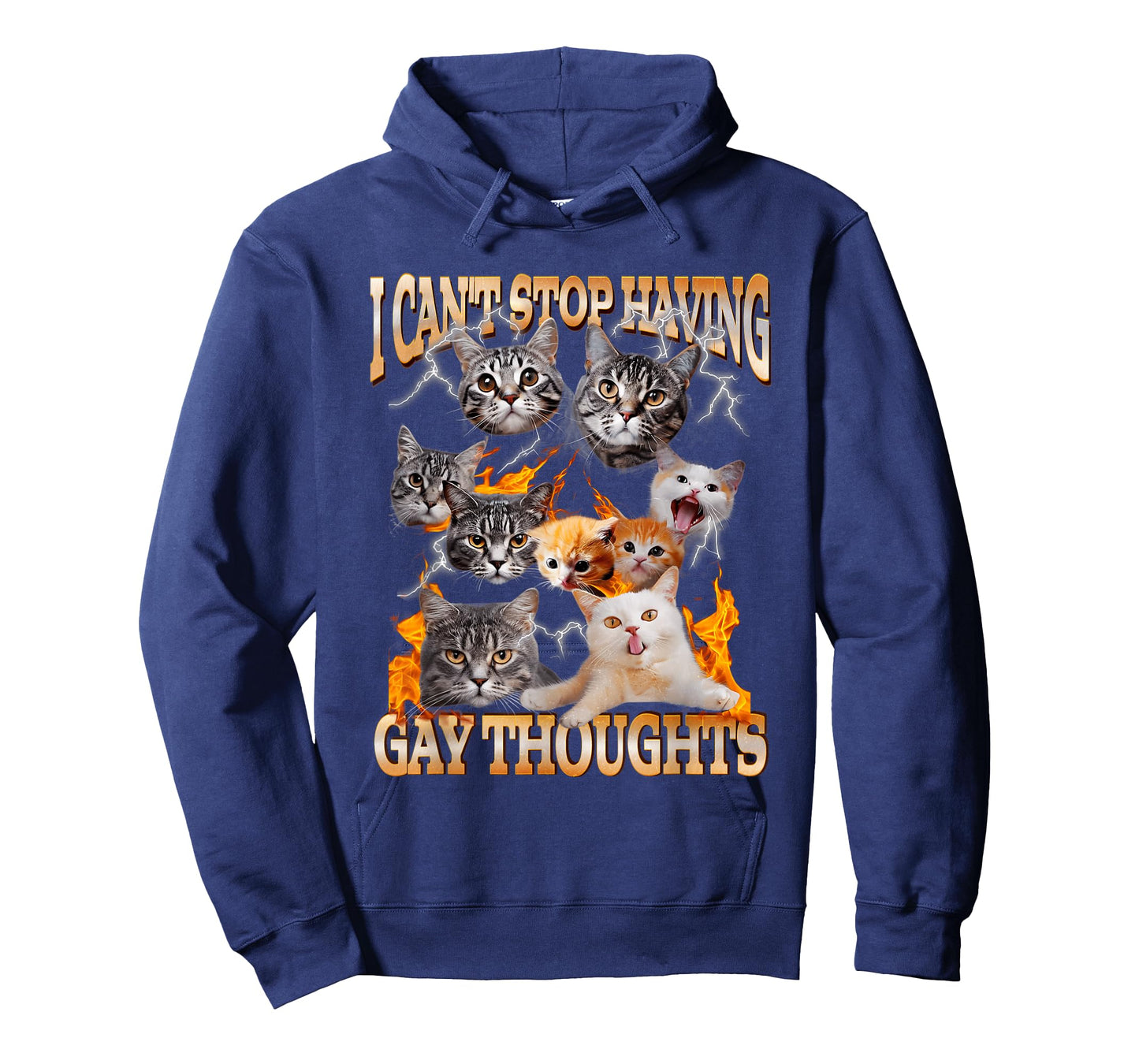 I Can't Stop Having Gay Thoughts Funny Cat Meme Bootleg T-Shirt