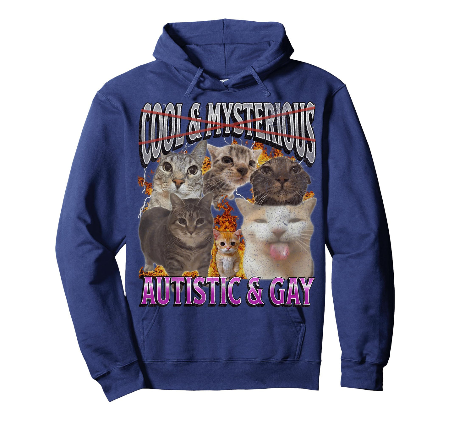 Autistic and Gay Funny Cat Meme Bootleg Graphic T-Shirt