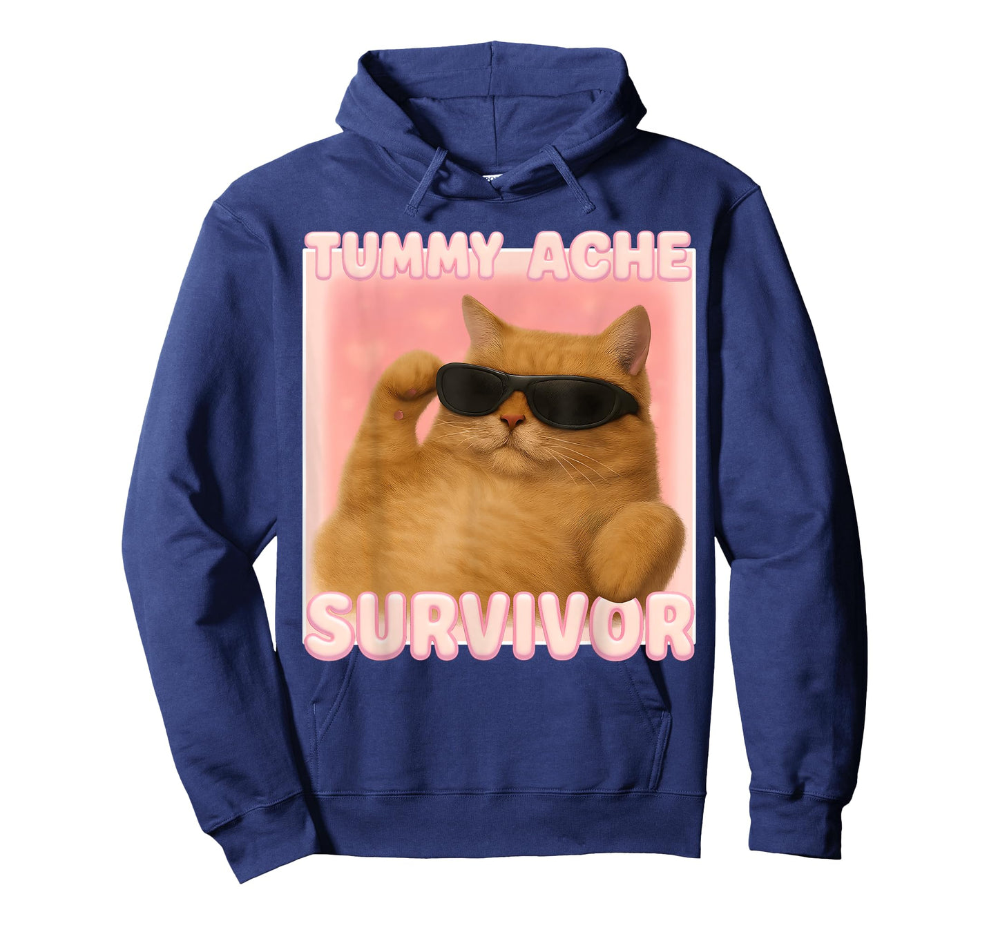 Cat Meme Tee Tummy Ache Survivor Ironic Internet Cats Jokes T-Shirt