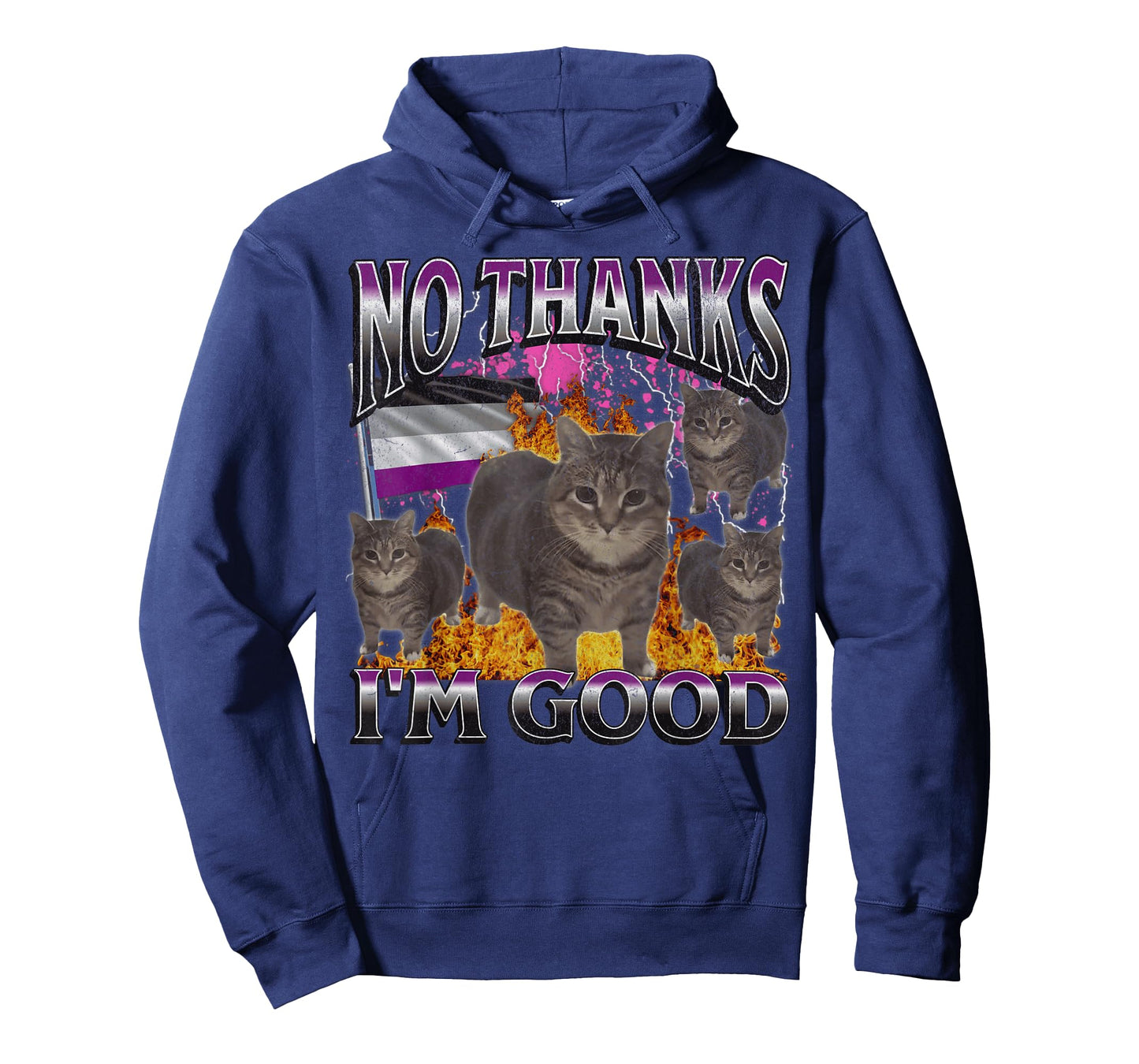 No Thanks I'm Good Funny Asexual Lgbtq Cat Meme Bootleg T-Shirt