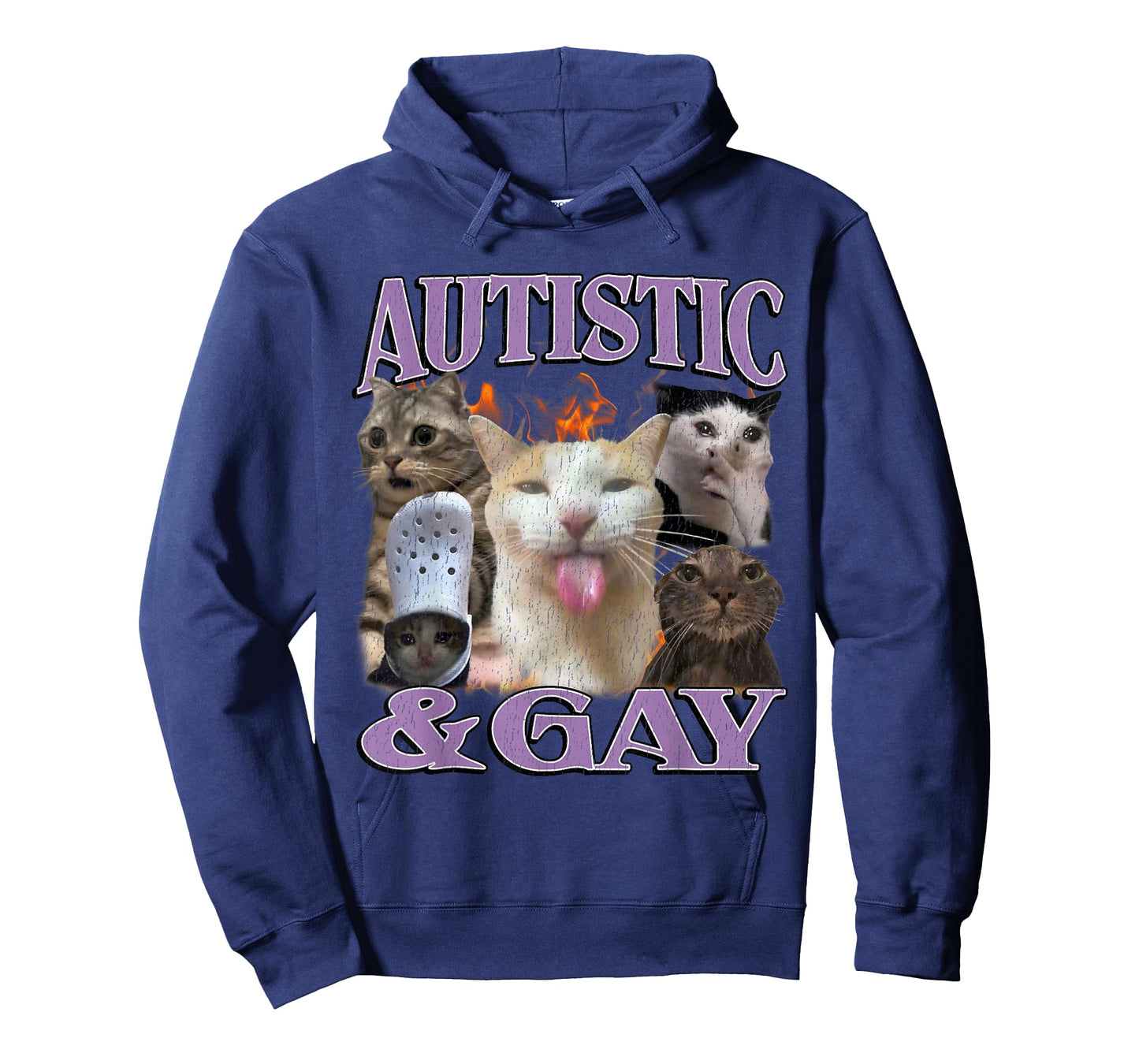 Autistic and Gay Funny Offensive Cat Meme Bootleg Men Women T-Shirt