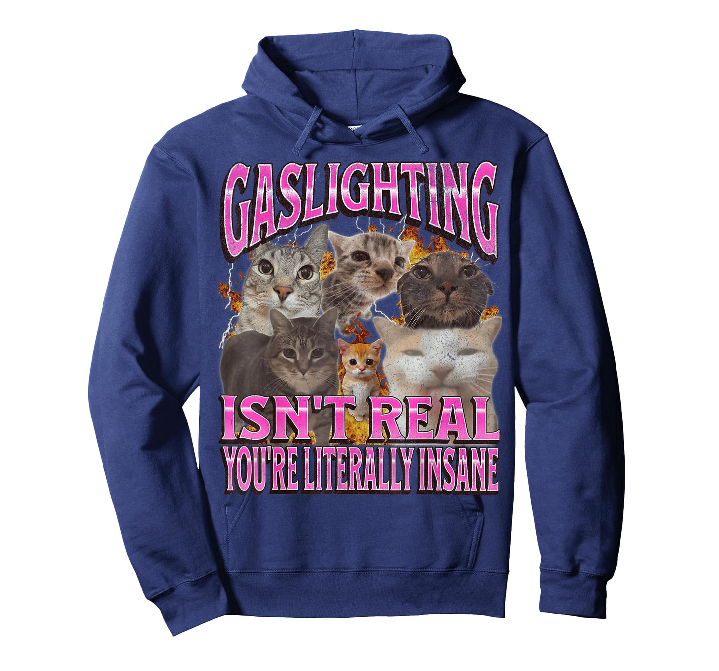 Gaslighting Isn't Real Funny Cat Meme Bootleg Graphic T-Shirt for Men Women