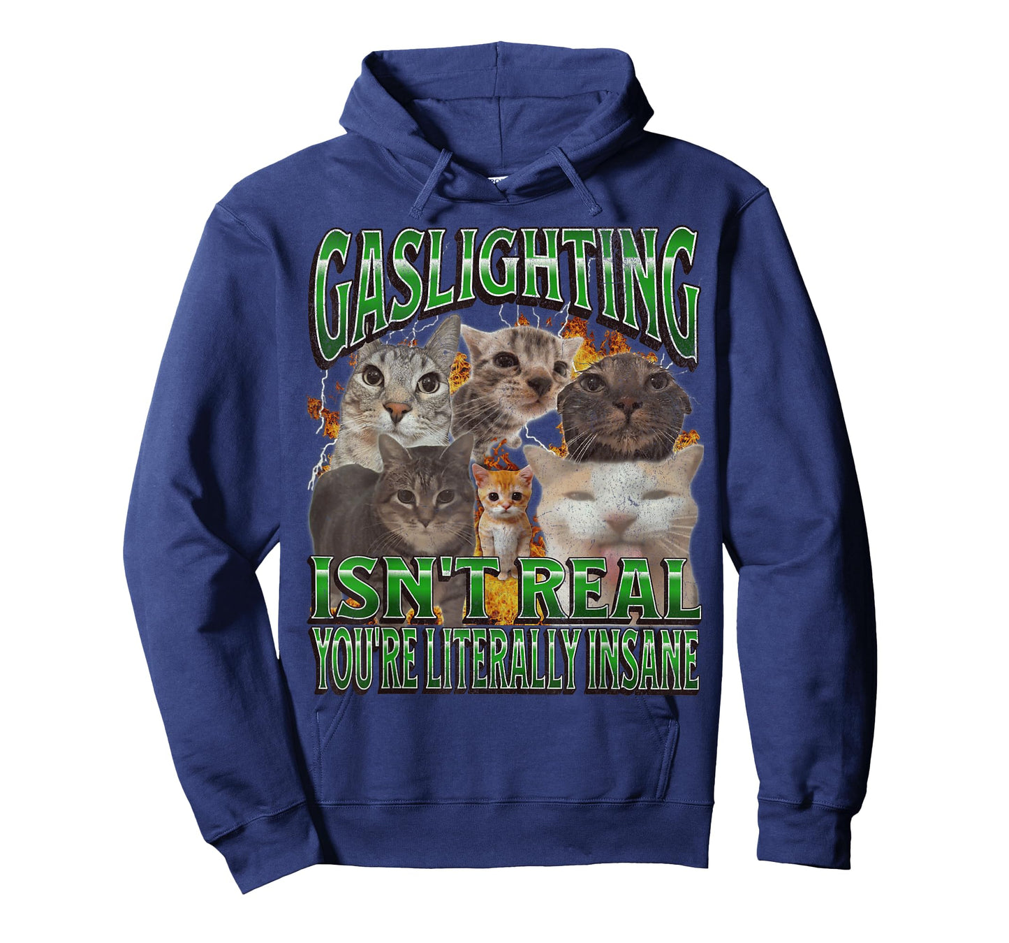 Gaslighting Isn't Real Funny Cat Meme Bootleg Graphic T-Shirt