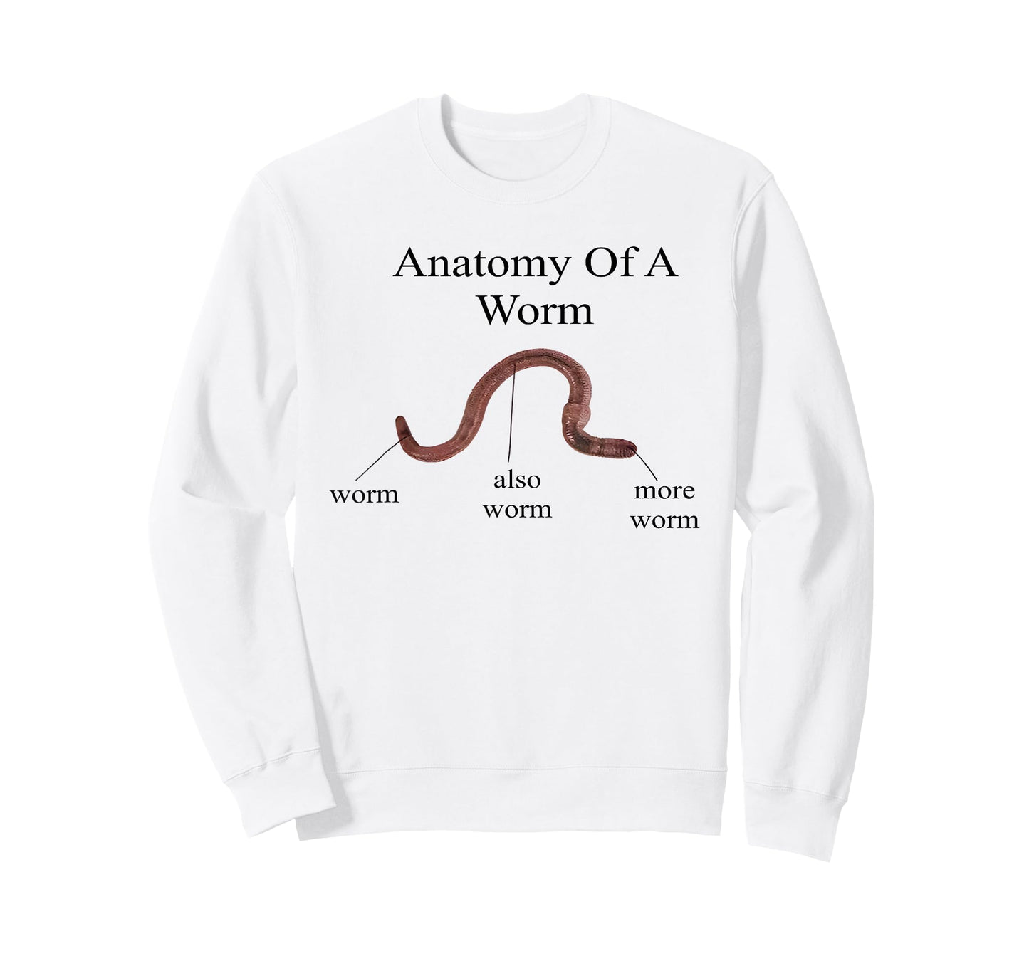 Anatomy of Worm Funny Science Biology Diagram T-Shirt