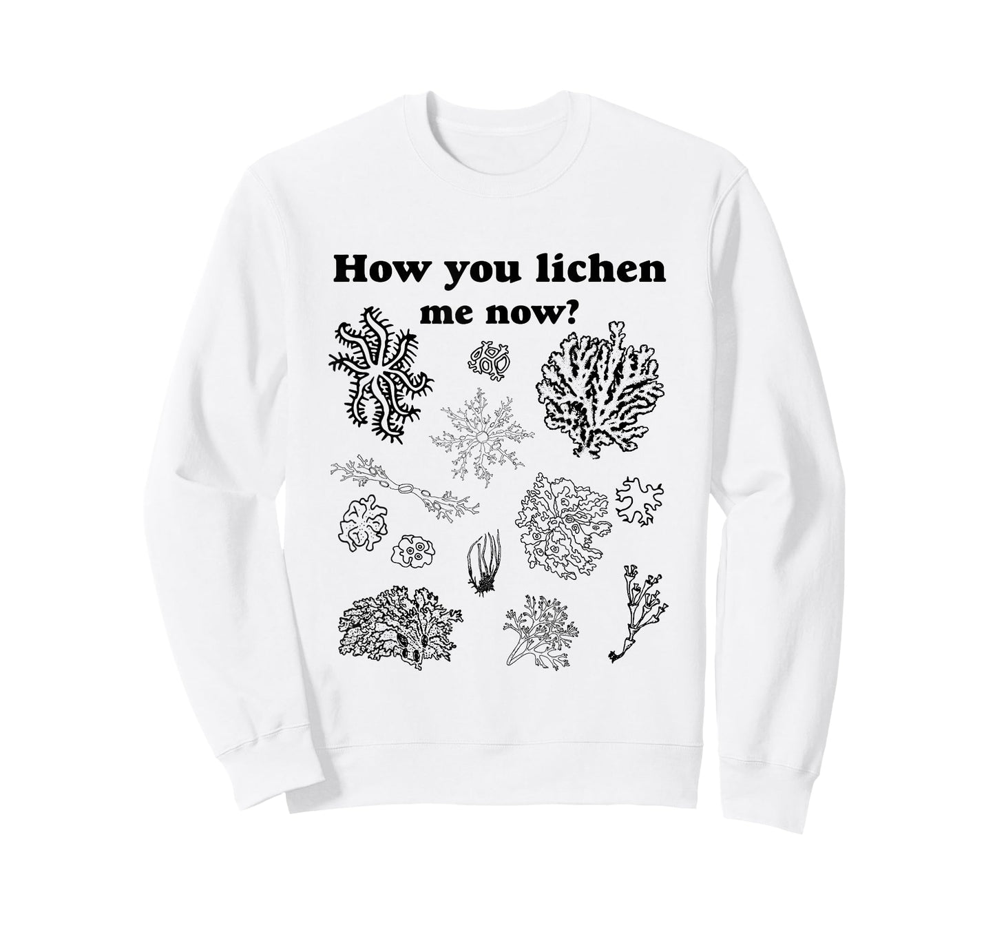 How You Lichen Me Now? Funny Vintage Moss Pun Graphic Tee T-Shirt