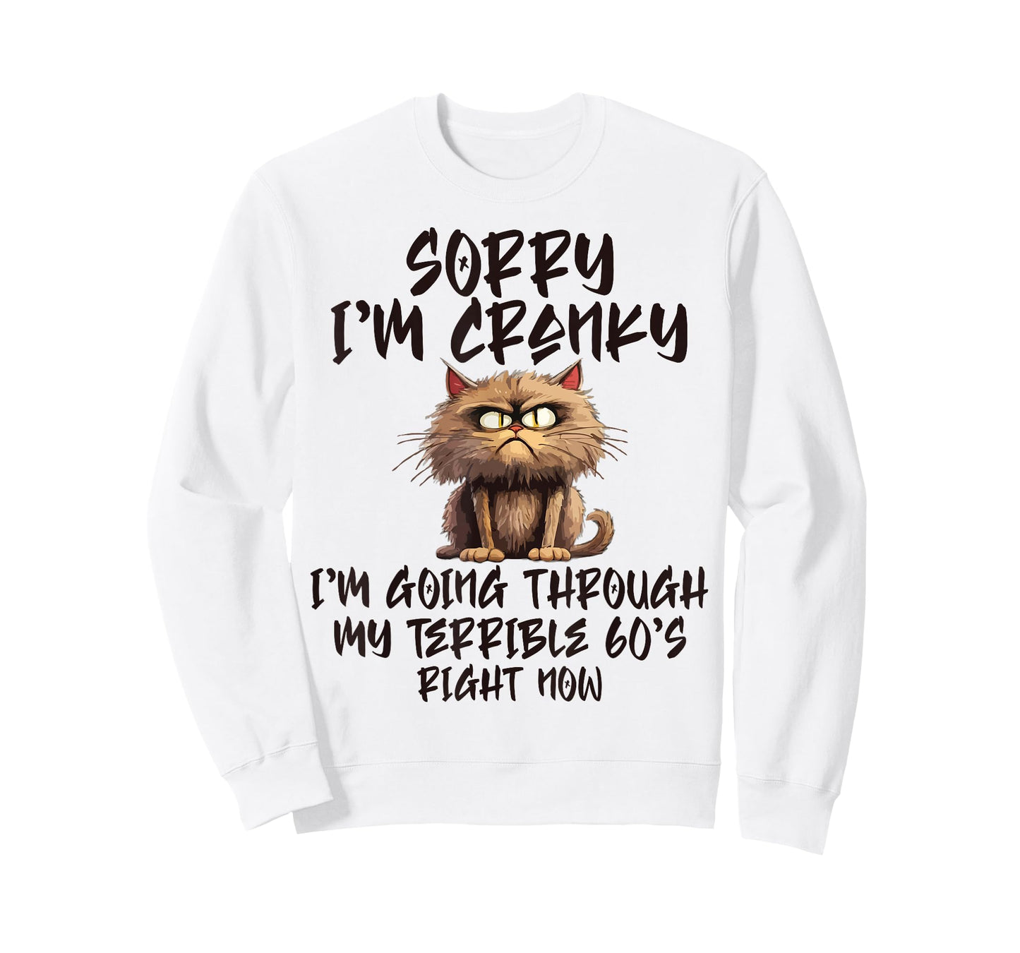 Sorry I'm Cranky I'm Going Through My Terrible 60s Funny Cat T-Shirt for Men Women