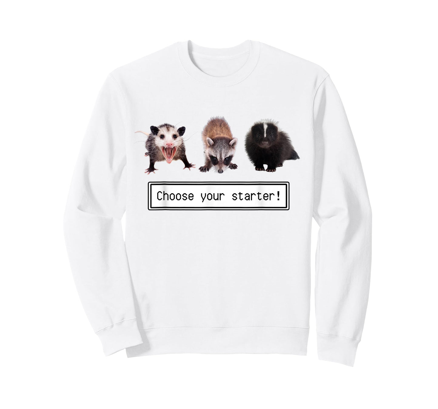 Opossum Raccoon Skunk Funny Street Cat Choose Your Starter T-Shirt