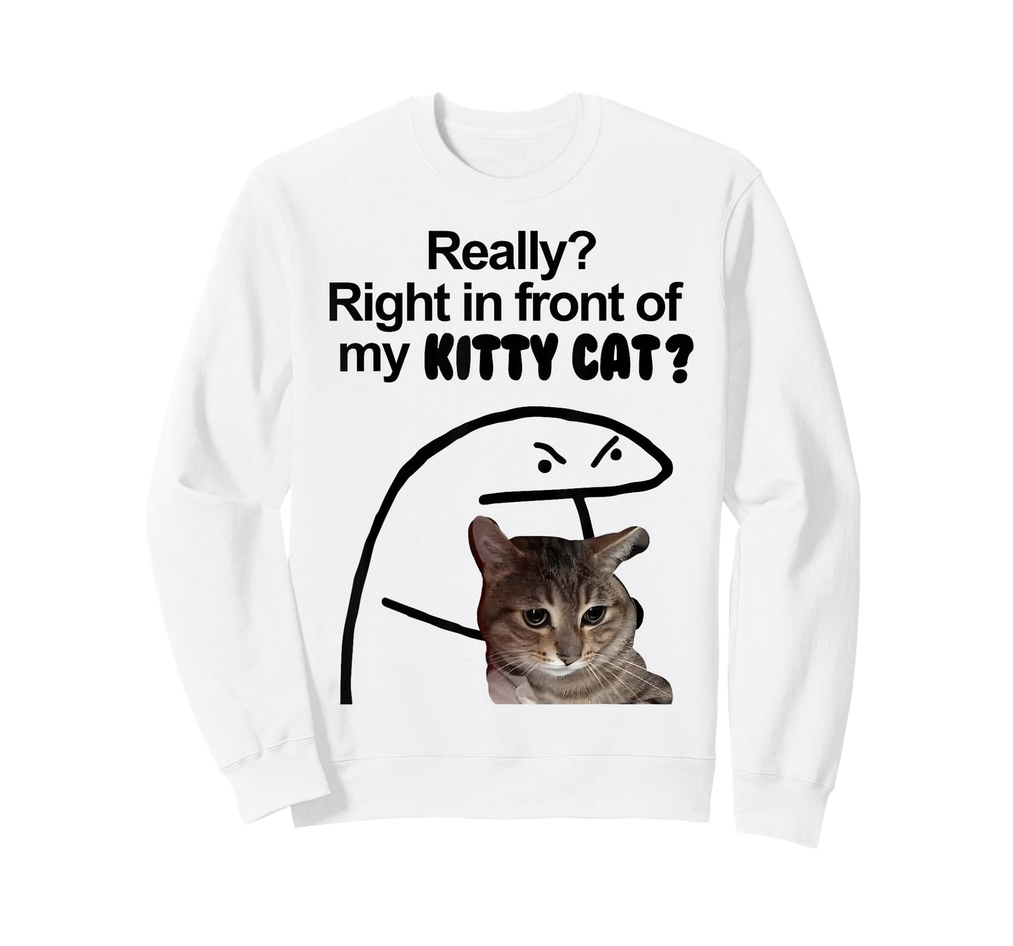 Really? Right in front of my KITTY CAT meme T-Shirt