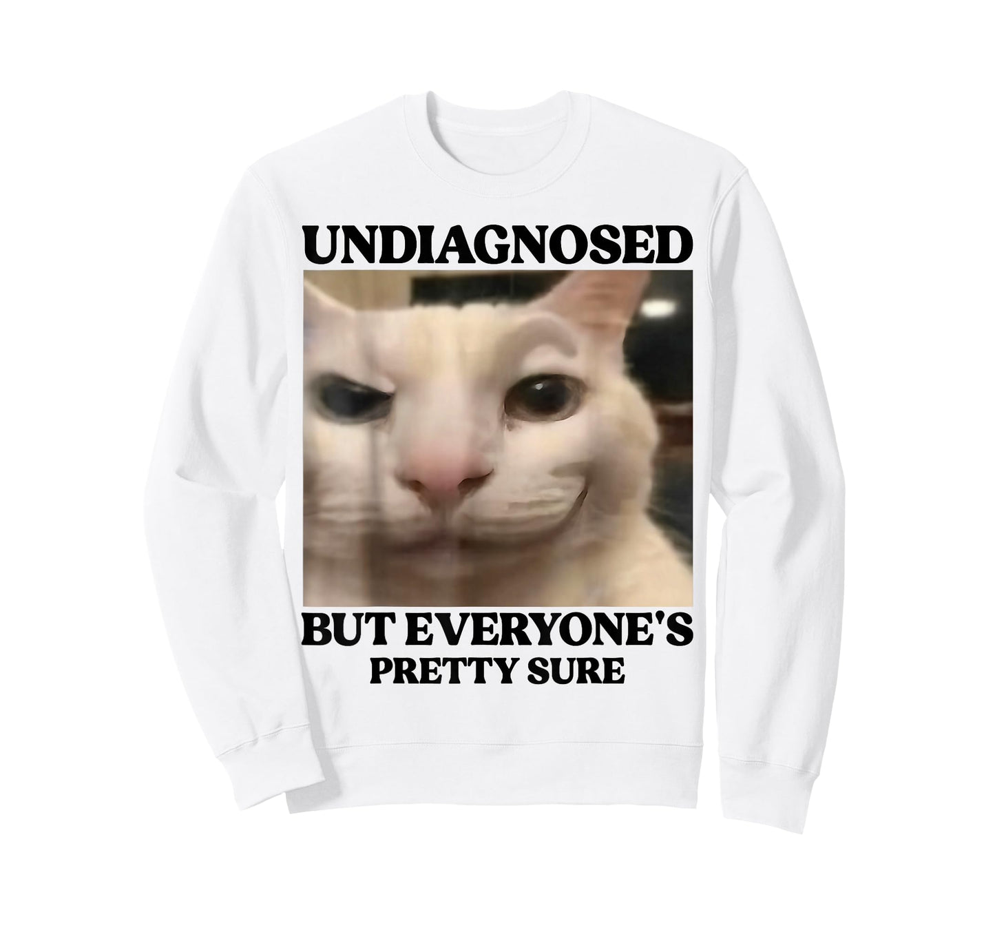 Undiagnosed But Everyone's Pretty Sure Funny Silly Cat Meme T-Shirt