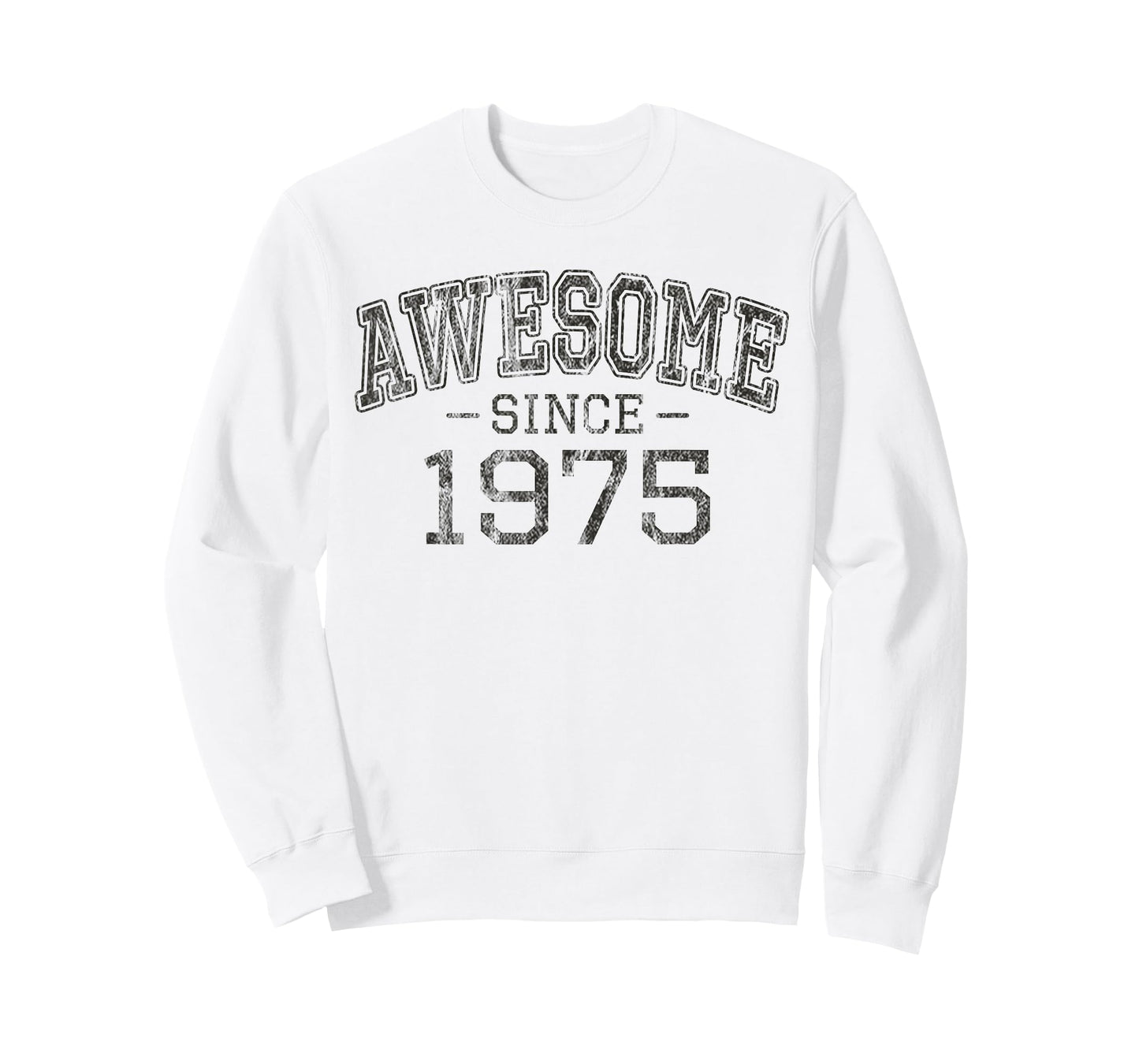 Awesome Since 1975 Vintage Style Born in 1975 Birthday Gift T-Shirt