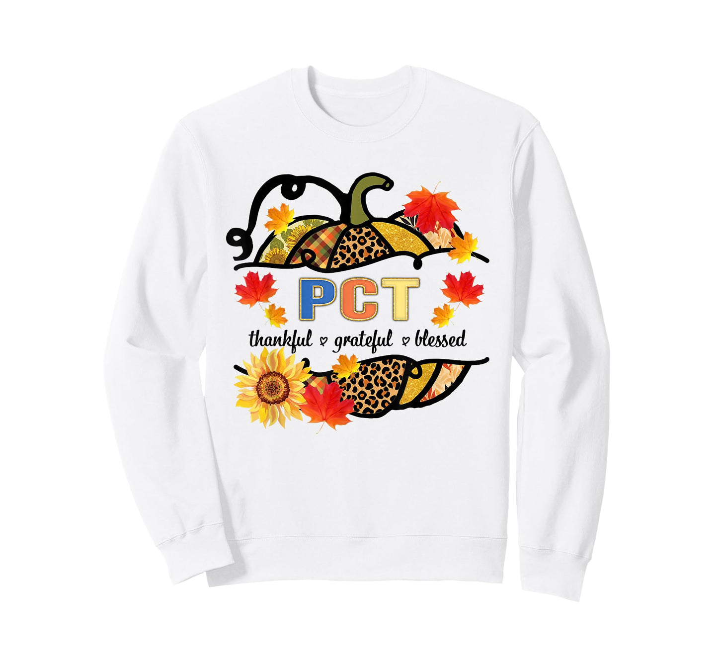 Autumn Fall Outfit PCT Thankful Grateful Blessed Pumpkin T-Shirt
