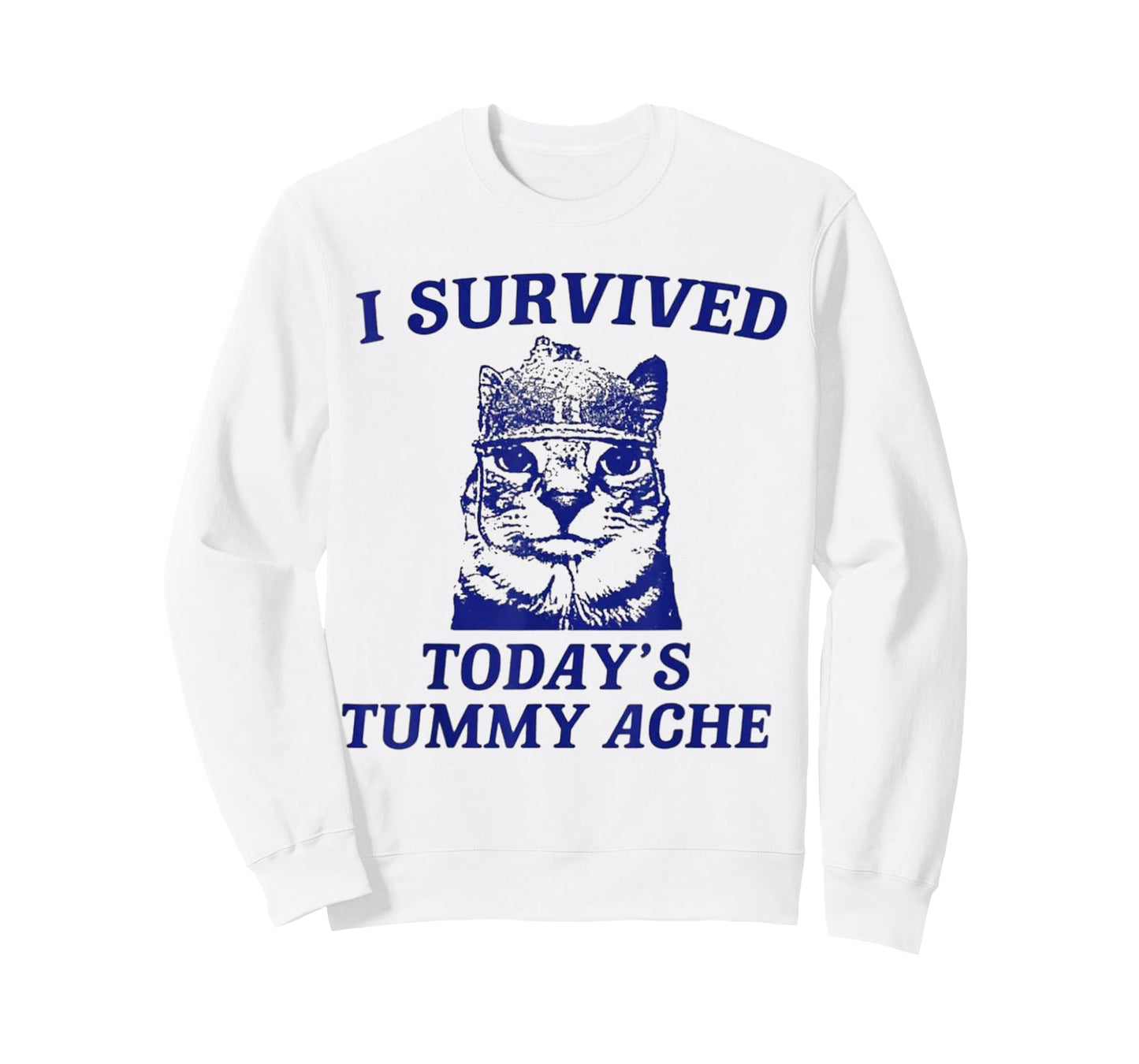 I survived today's tummy ache Cat T-Shirt