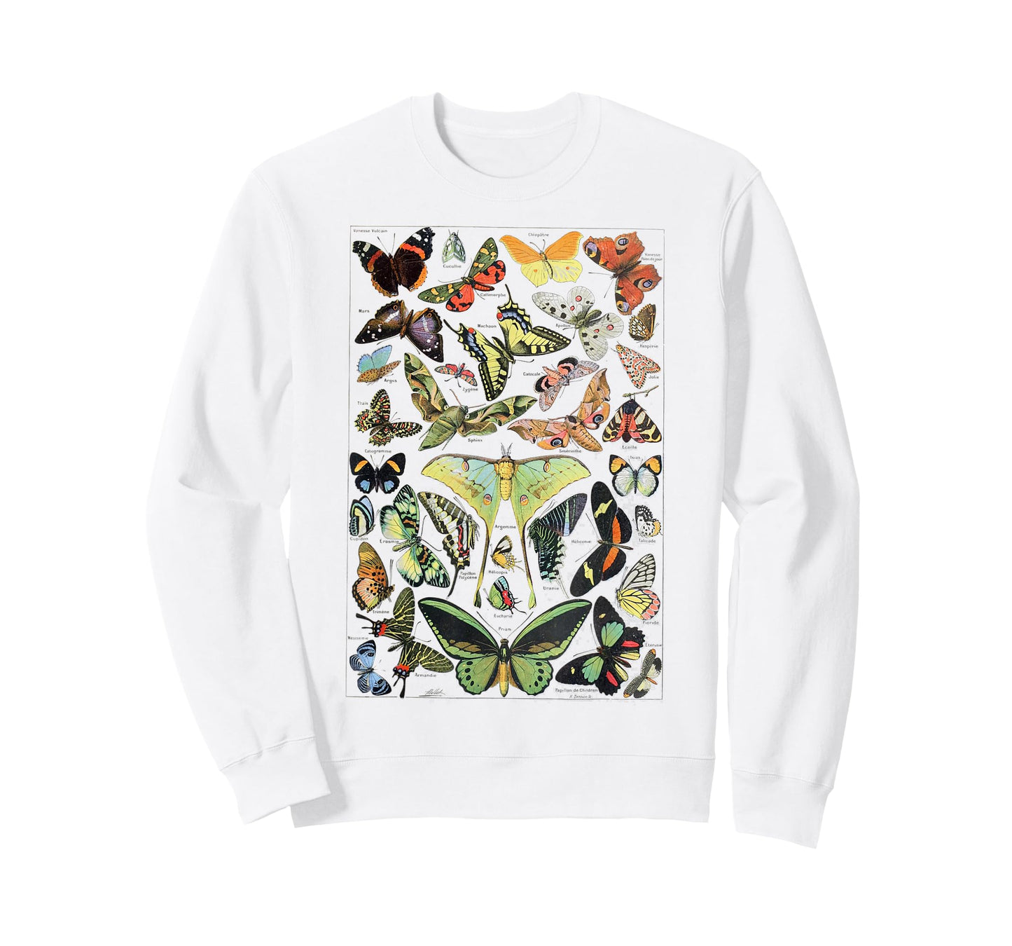 Vintage Butterflies Butterfly Collection scientific T-Shirt