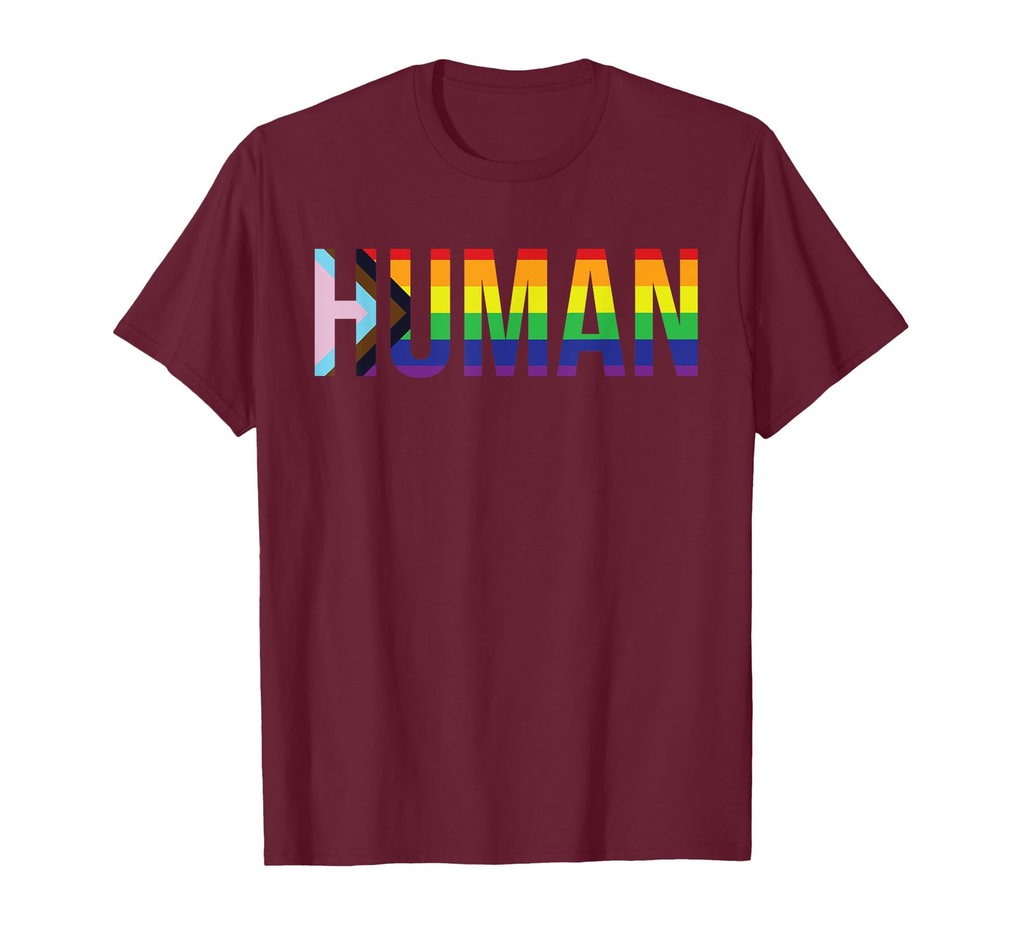 Human LGBTQIA+ Flag LGBTQ+ Flag shirt LGBTQIA+ Flag Human T-Shirt