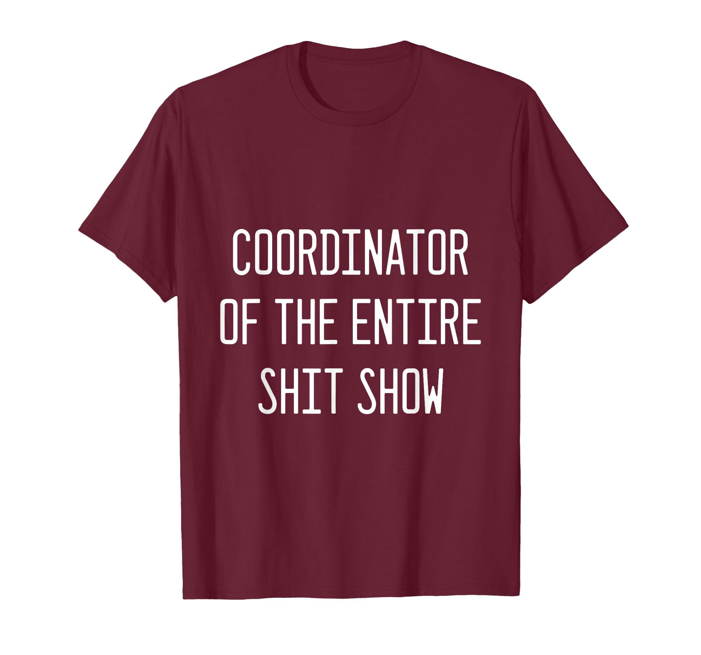 coordinator of the entire shitshow T-Shirt