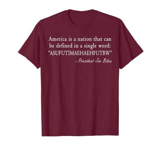 America Is A Nation That Can Be Defined In Single Word Biden T-Shirt
