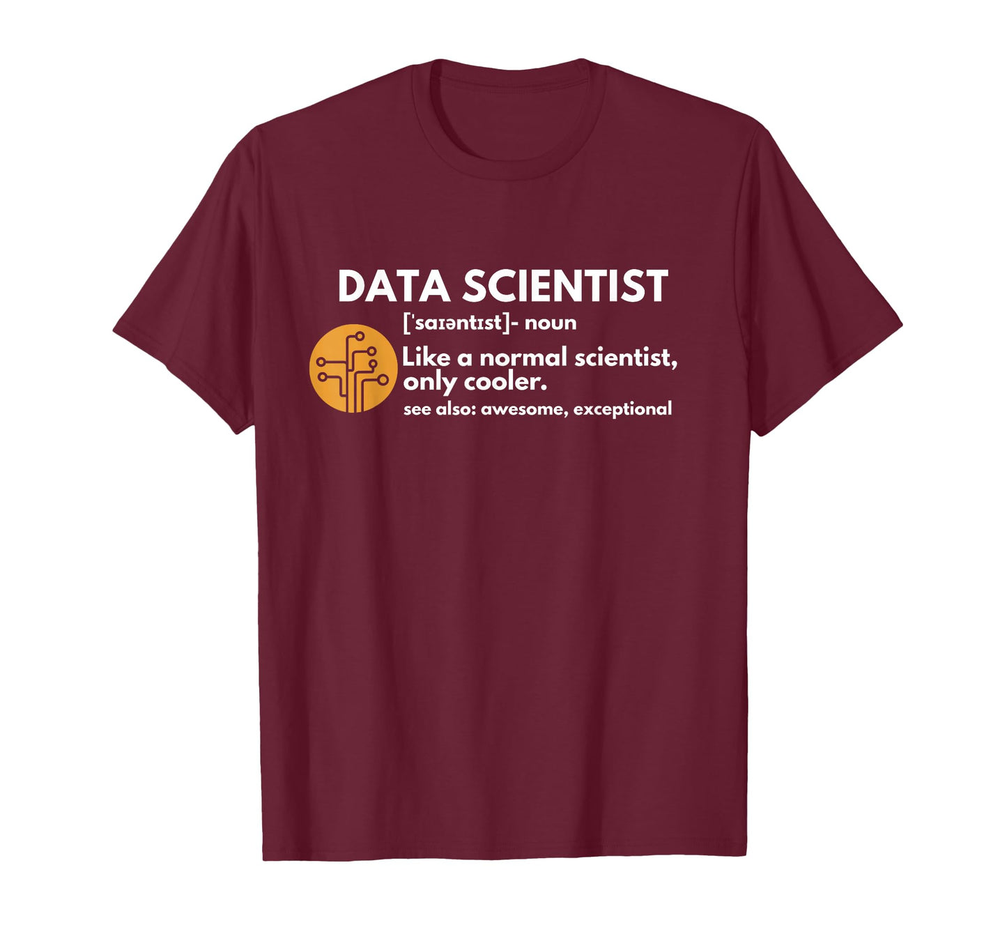 Funny Data Scientist Definition Computer Science T-Shirt Small