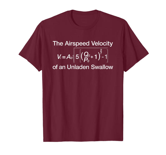Airspeed Velocity Of An Unladen Swallow T-Shirt T-Shirt