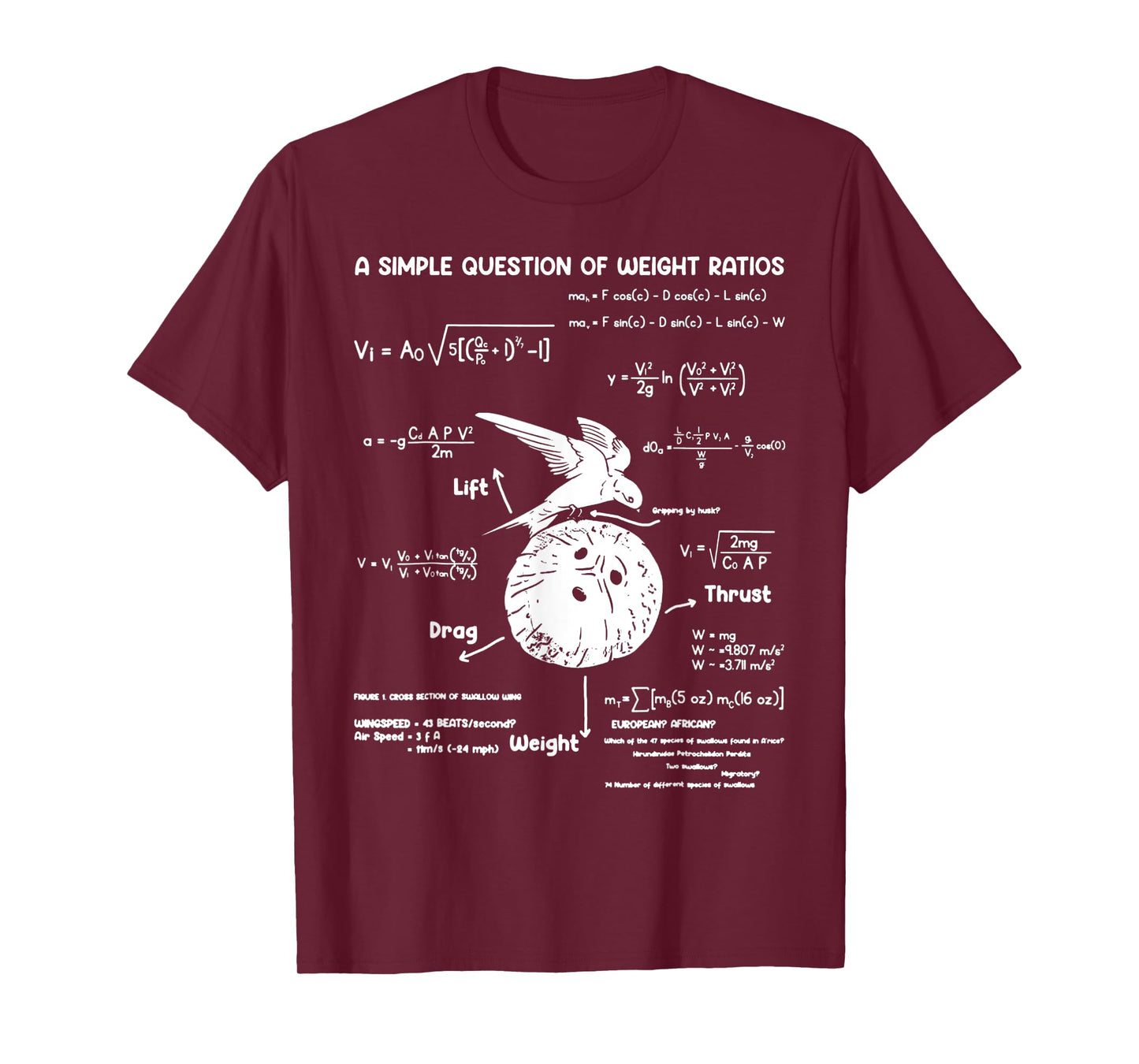 A Simple Question Of Weight Ratios Funny Math Teacher T-Shirt