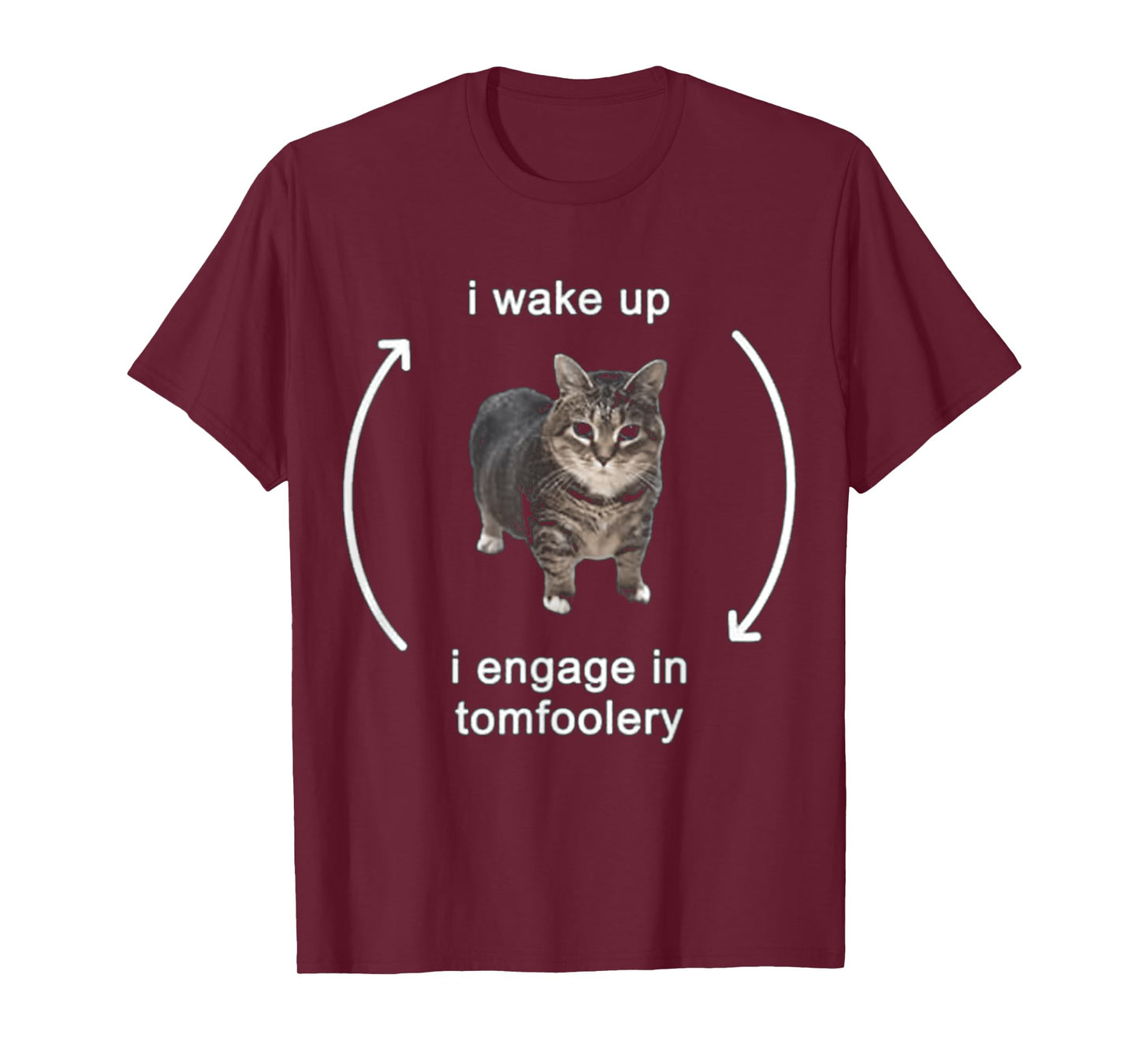 I Wake Up I Engage In Tomfoolery Cat FUNNY MEME T-Shirt for Men Women Kids