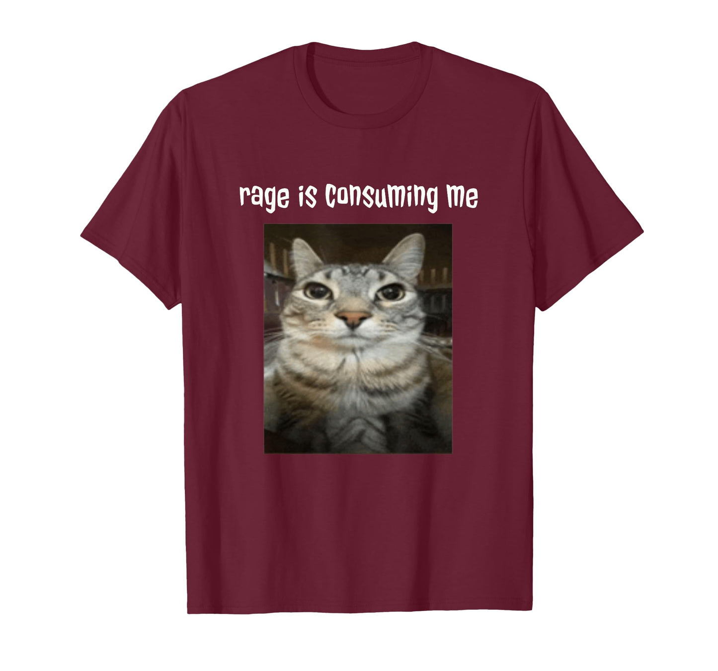 Silly Staring Cat Meme Rage Is Consuming Me T-Shirt