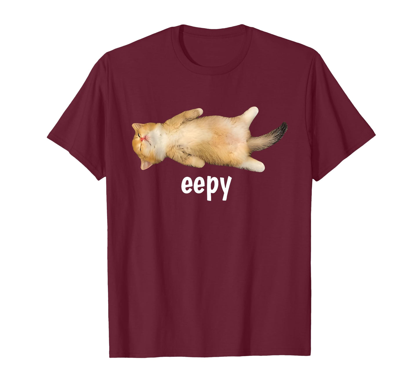 Eepy Cat Meme Funny Sleepy Cat Viral Gen Z Sarcastic Humor T-Shirt