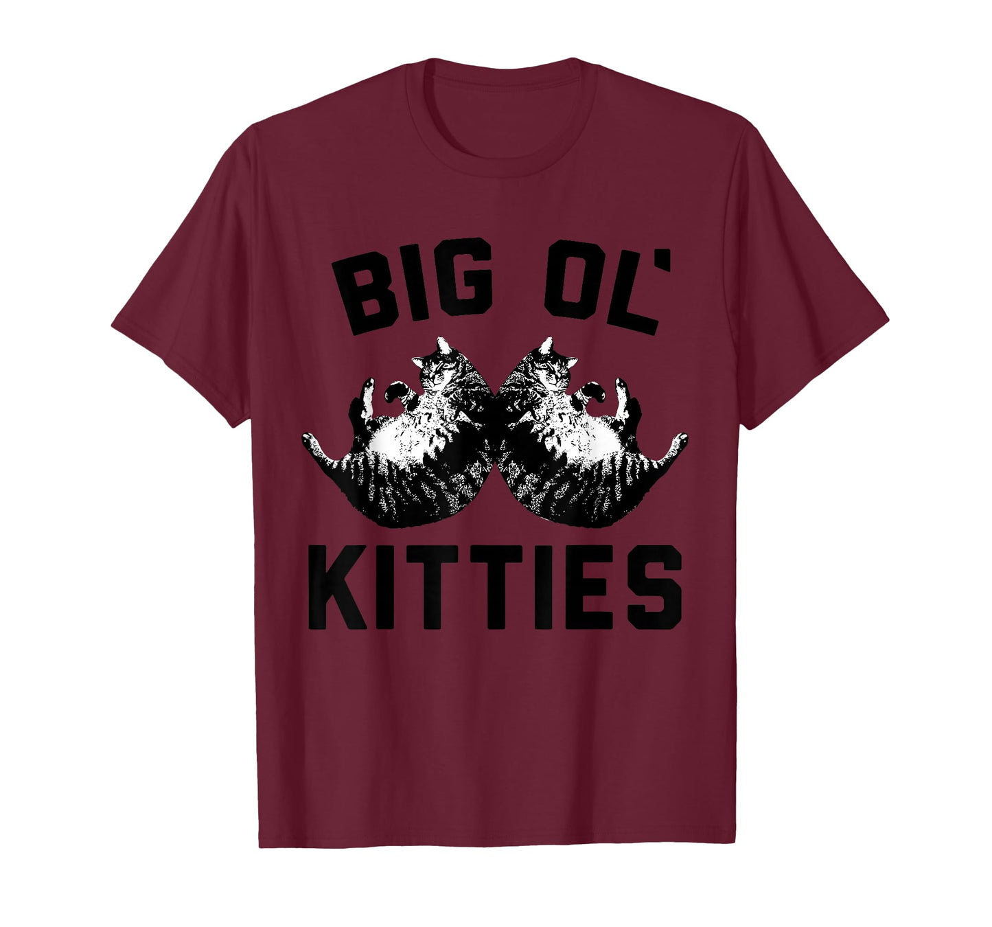 Cat Big Ol Kitties Cat Lover T-Shirt
