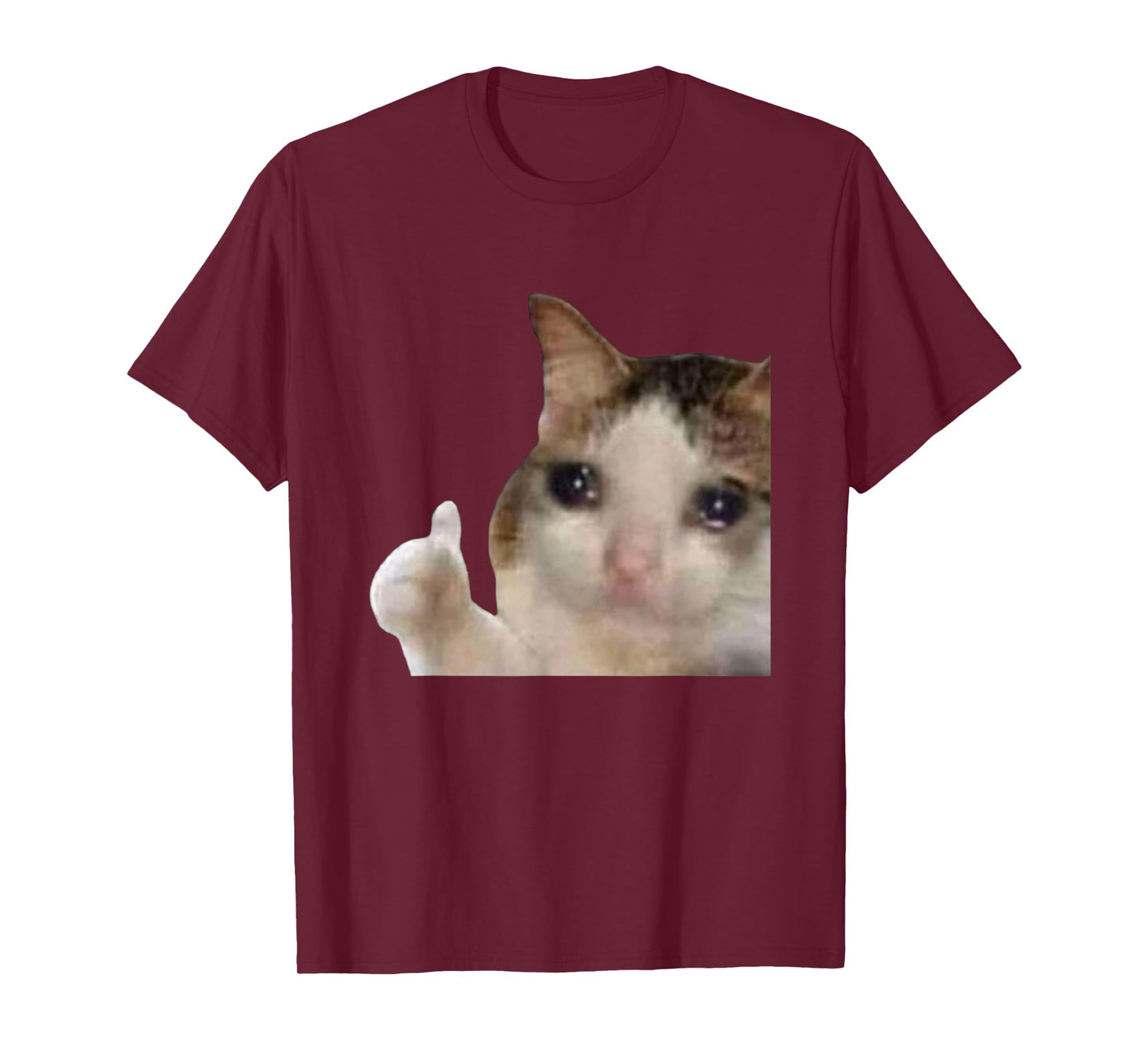 Funny Cute Crying Cat Sad Tears Thumbs Up Meme Gen Z Humor T-Shirt