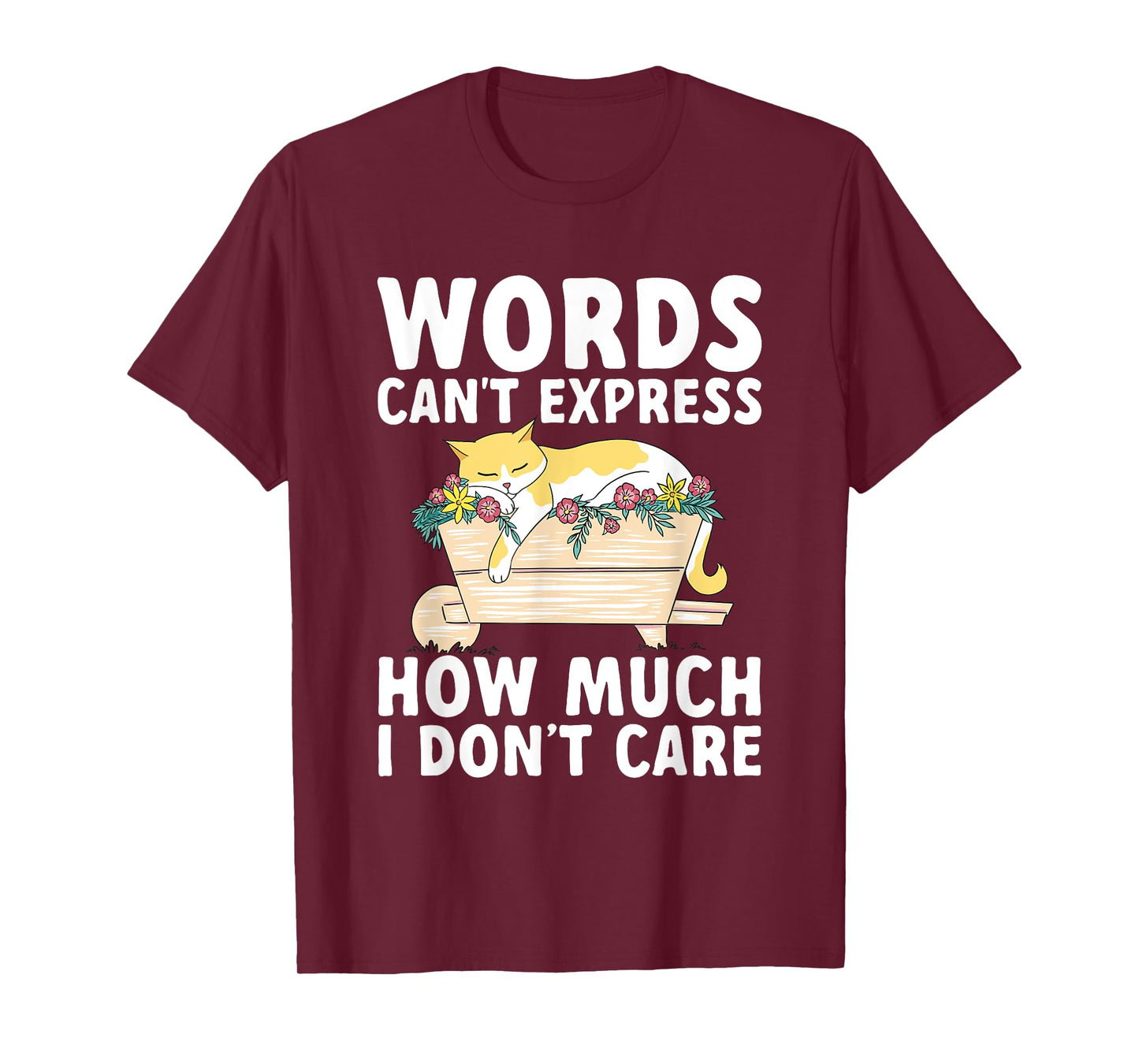 Words Can't Express How Much I Don't Care Sarcastic Cat T-Shirt