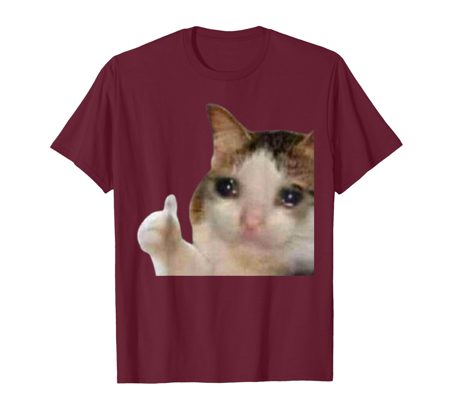 Thumbs Up Crying Cat Meme T-Shirt