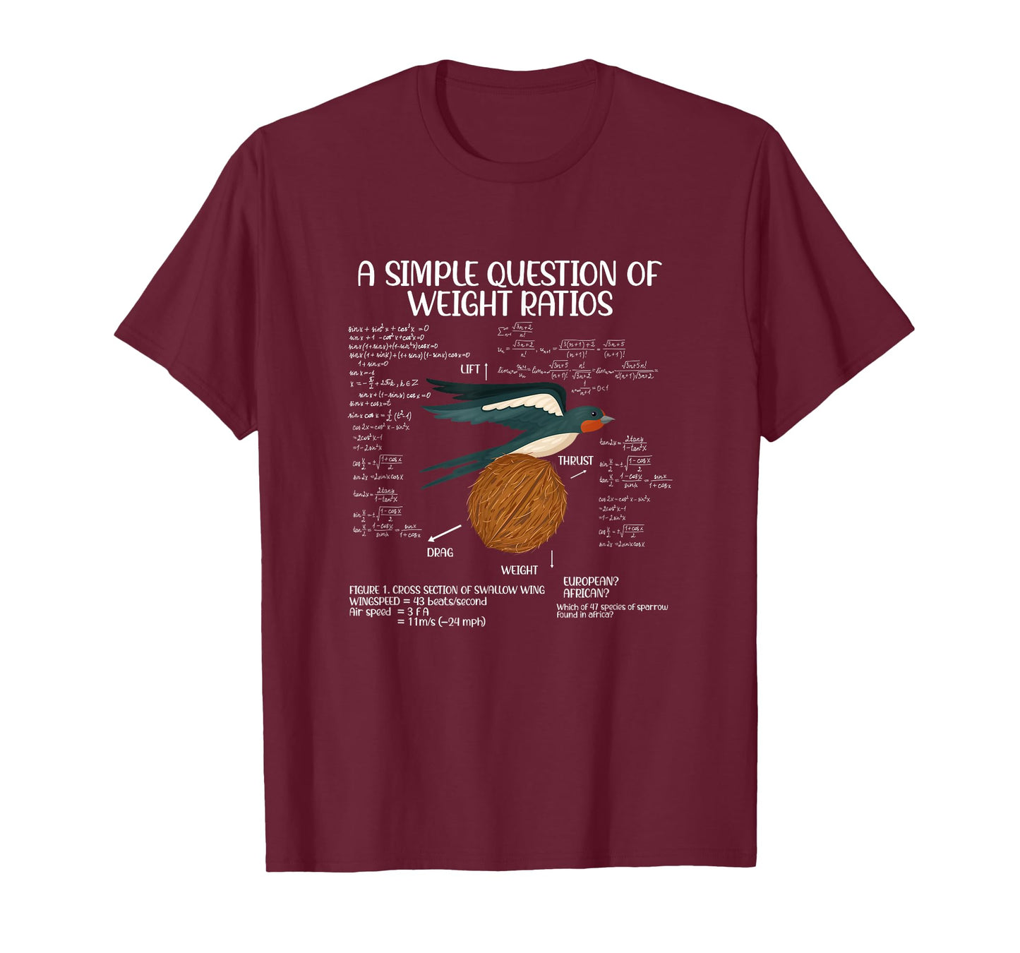 A Simple Question of Weight Ratios Math Teacher T-Shirt