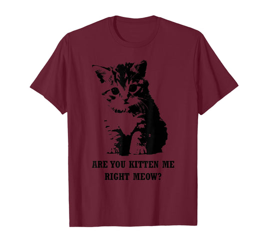 Are You Kitten Me Right Meow T-shirt T-Shirt