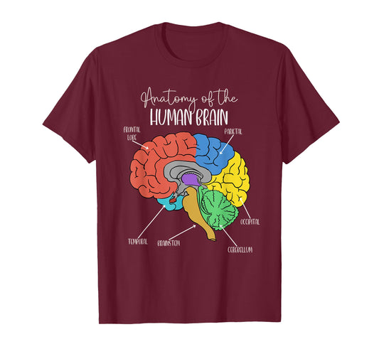 Anatomy of the Human Brain Diagram Neurology Colorful Brain T-Shirt