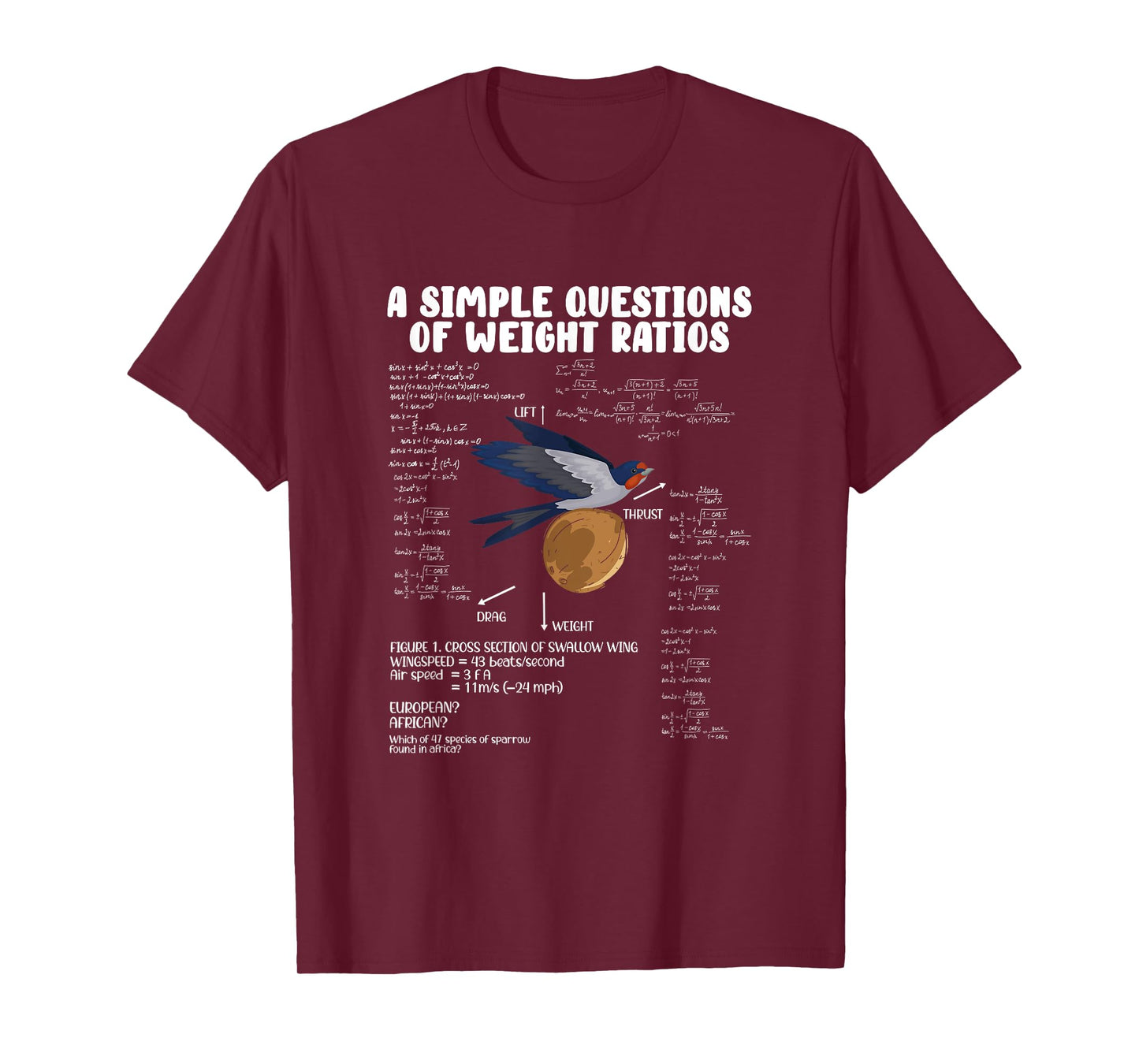 A Simple Question of Weight Ratios Math Teacher Men Women T-Shirt