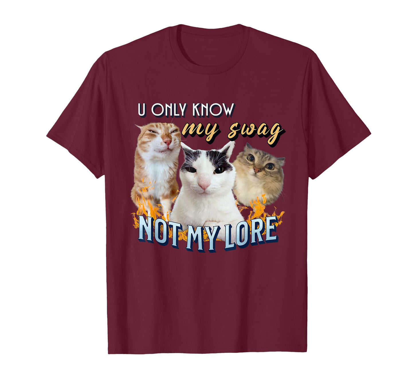 You Only Know My Swag Not Lore Funny Derpy Cat Meme Y2K T-Shirt for Men Women Kids