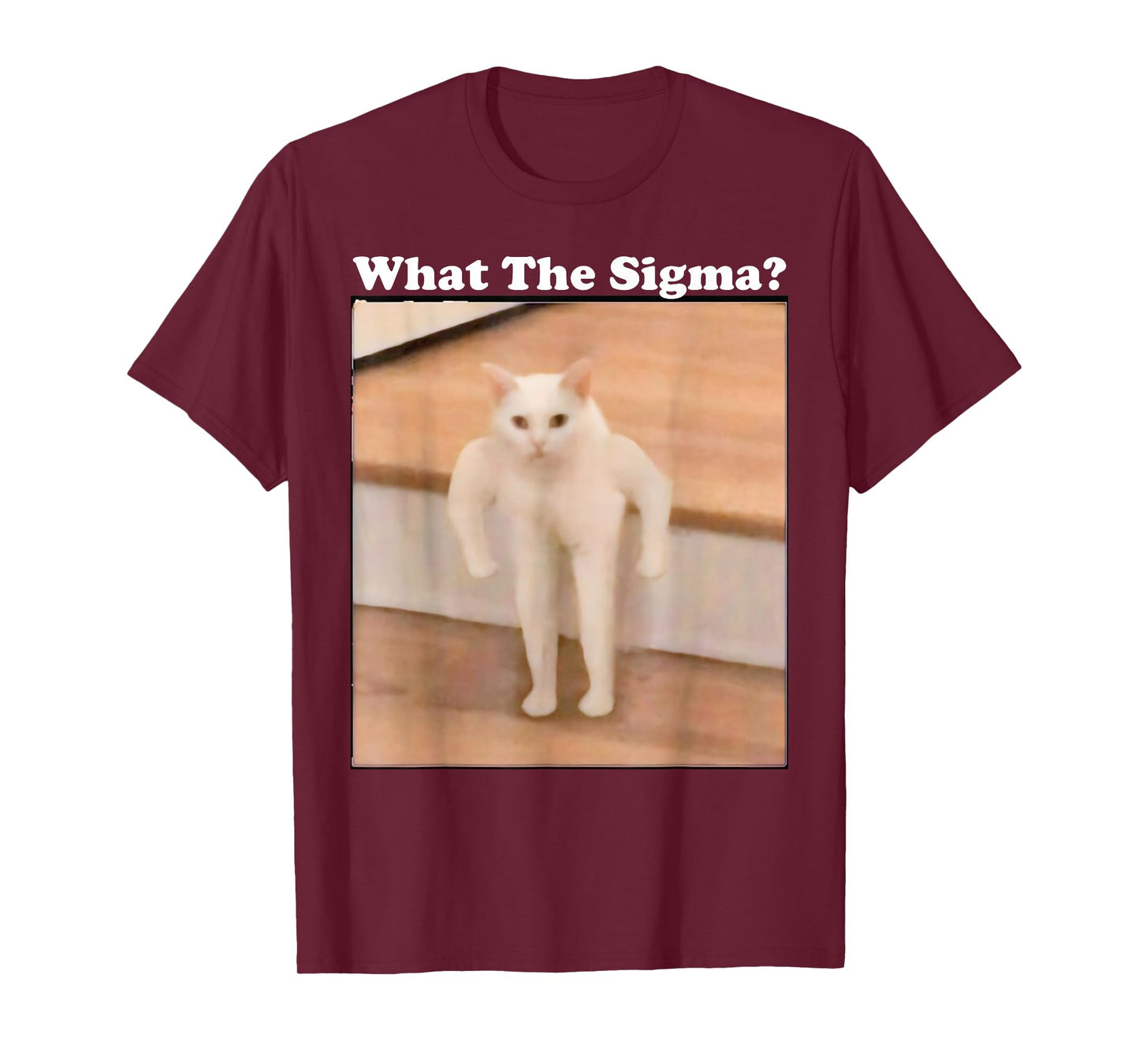 What Sigma Meme Cat Meme Internet Memes Funny Meme Gen Z Pun T-Shirt