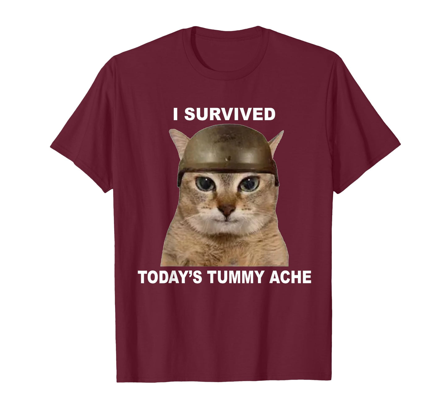 I Survived Today's Tummy Ache Funny Cat T-Shirt