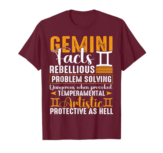 Gemini Zodiac Sign for Men Women Kids Gemini Birthday Facts T-Shirt