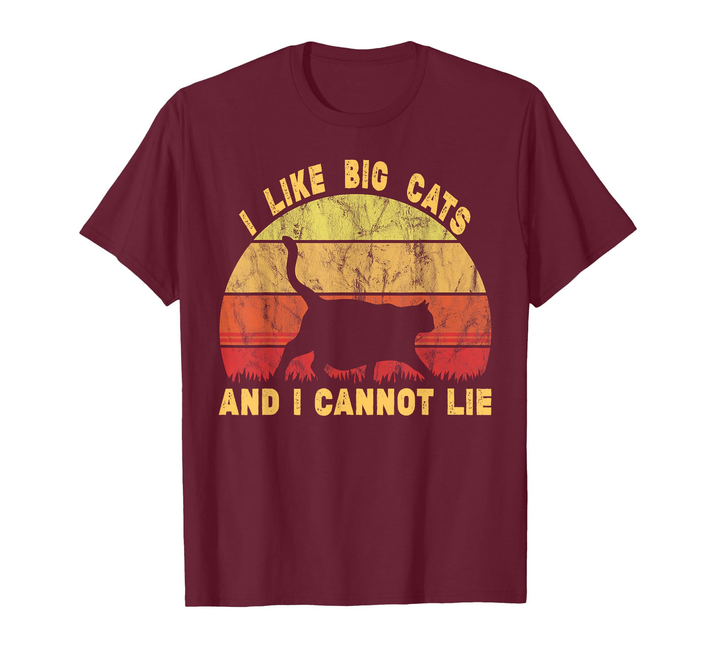 Fat Lover Chonk Meme I Like Big Fat Cats and I Cannot Lie T-Shirt