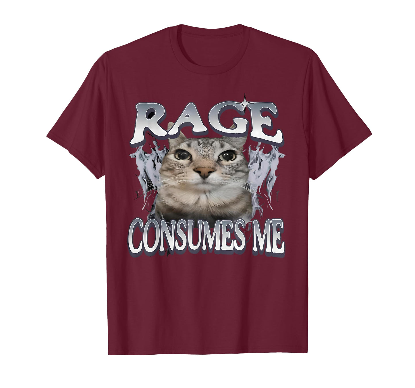 Rage Consumes Me Cat Funny Cat Meme Vintage Weird Humor T-Shirt