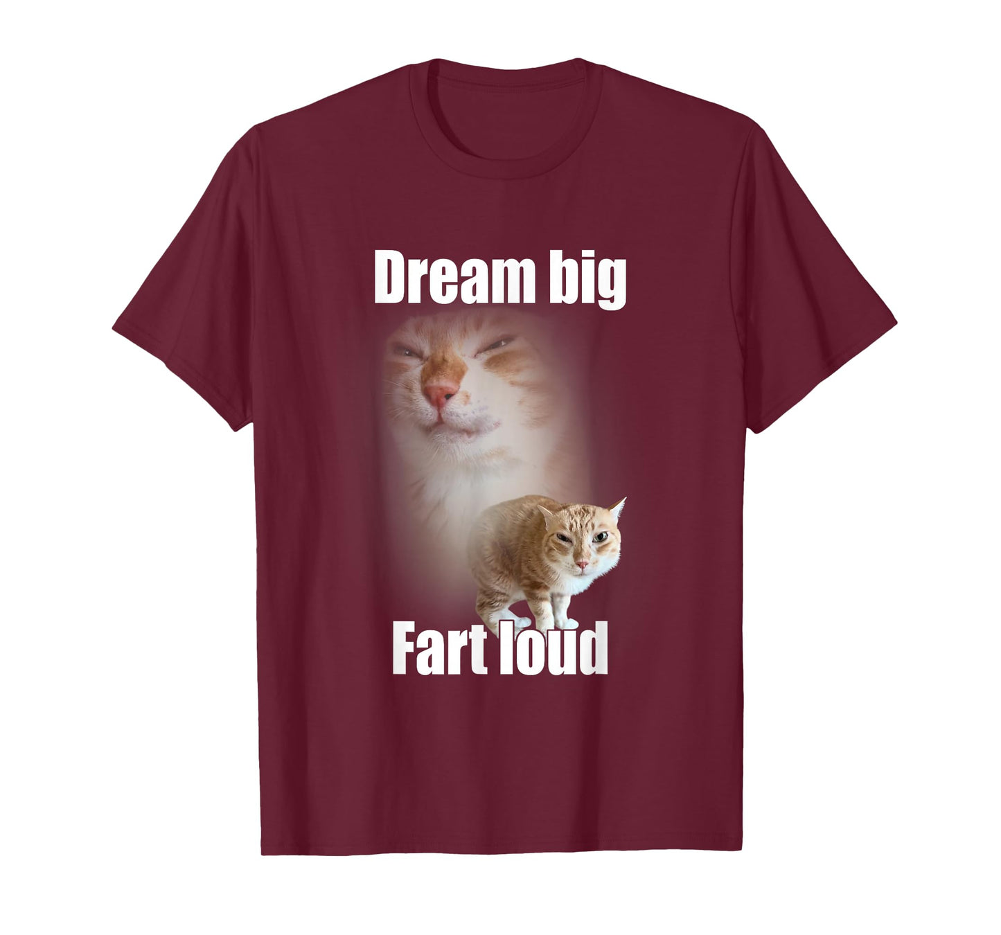 Dream Big Fart Loud Cat Meme Funny Saying T-Shirt