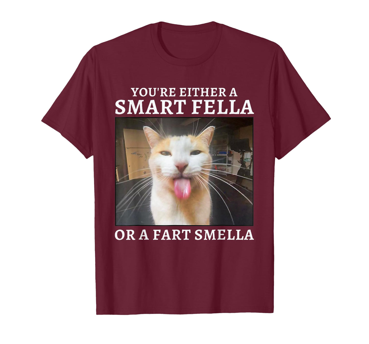 You're Either a Smart Fella or a Fart Smella Funny Cat Meme T-Shirt