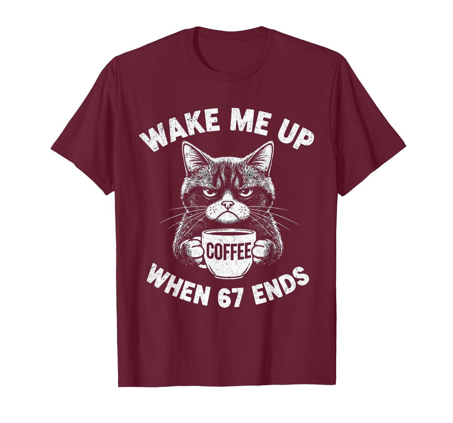 Wake Me 67 Ends Anti Six Seven Cat Brainrot Teacher T-Shirt