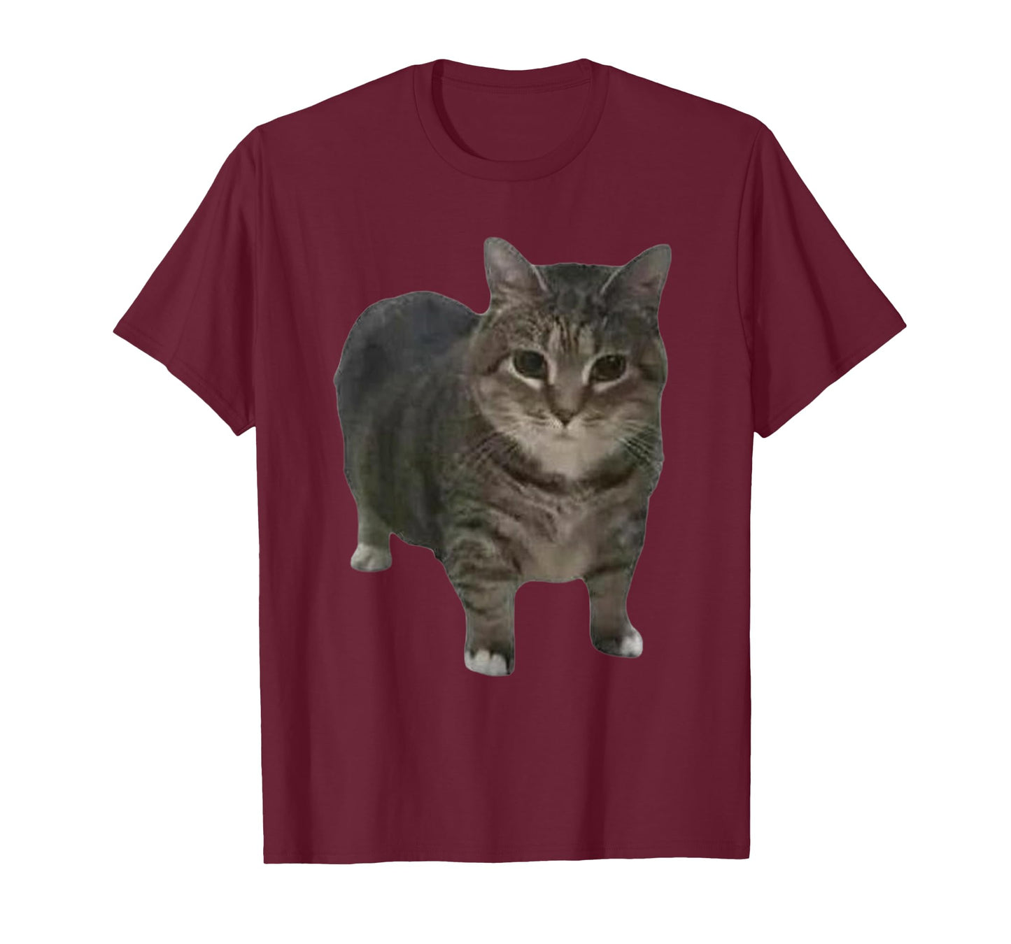 Funny oiia oiia Spinning Cat Meme Men Women T-Shirt