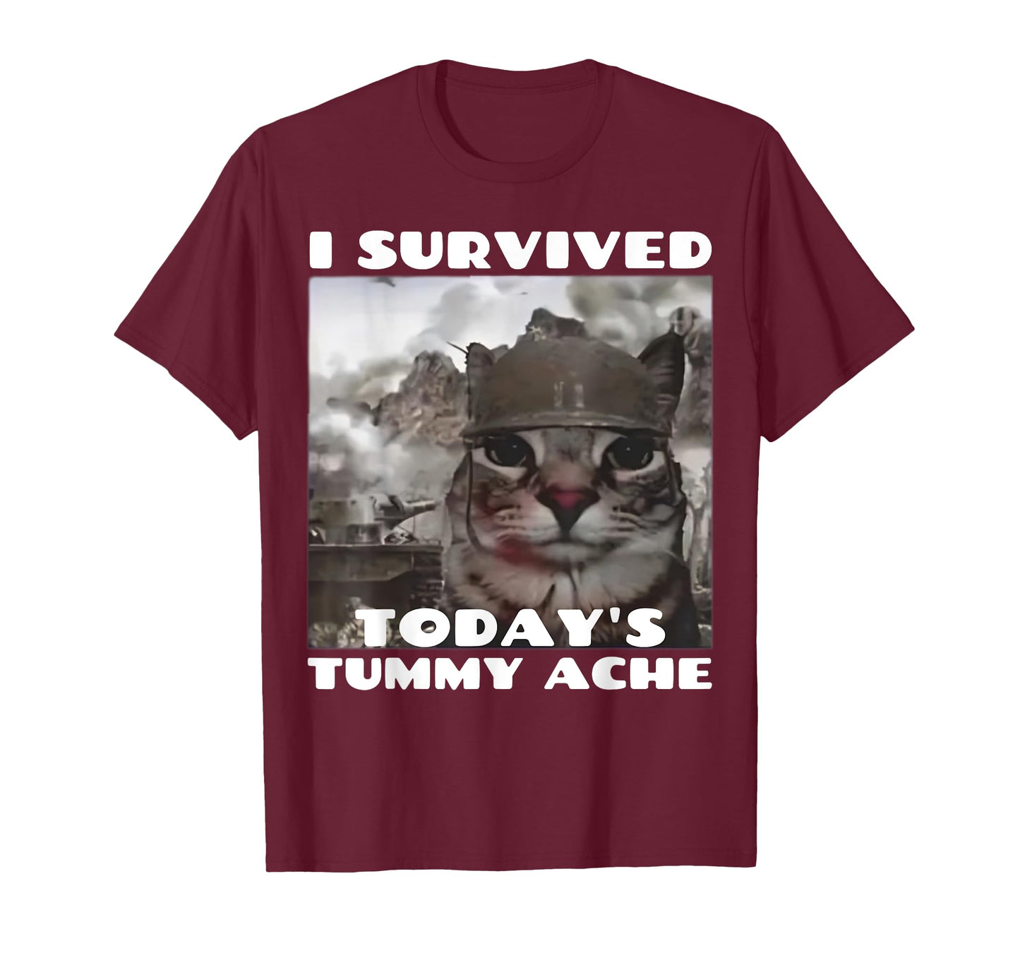 I Survived Today's Tummy Ache Meme Tummy Ache Survivor IBS T-Shirt