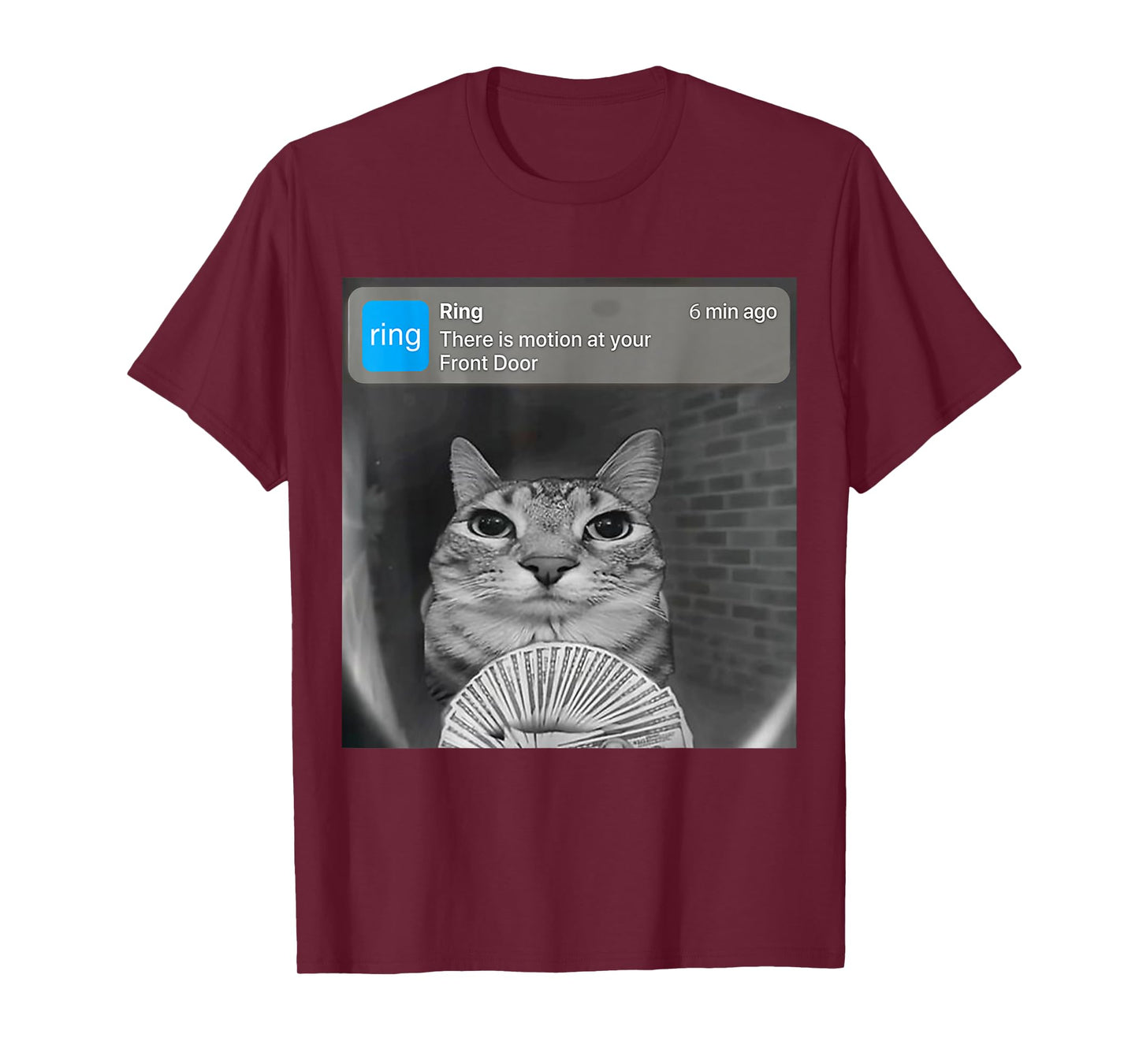 There is Motion at Your Front Door Funny Silly Cat Meme T-Shirt